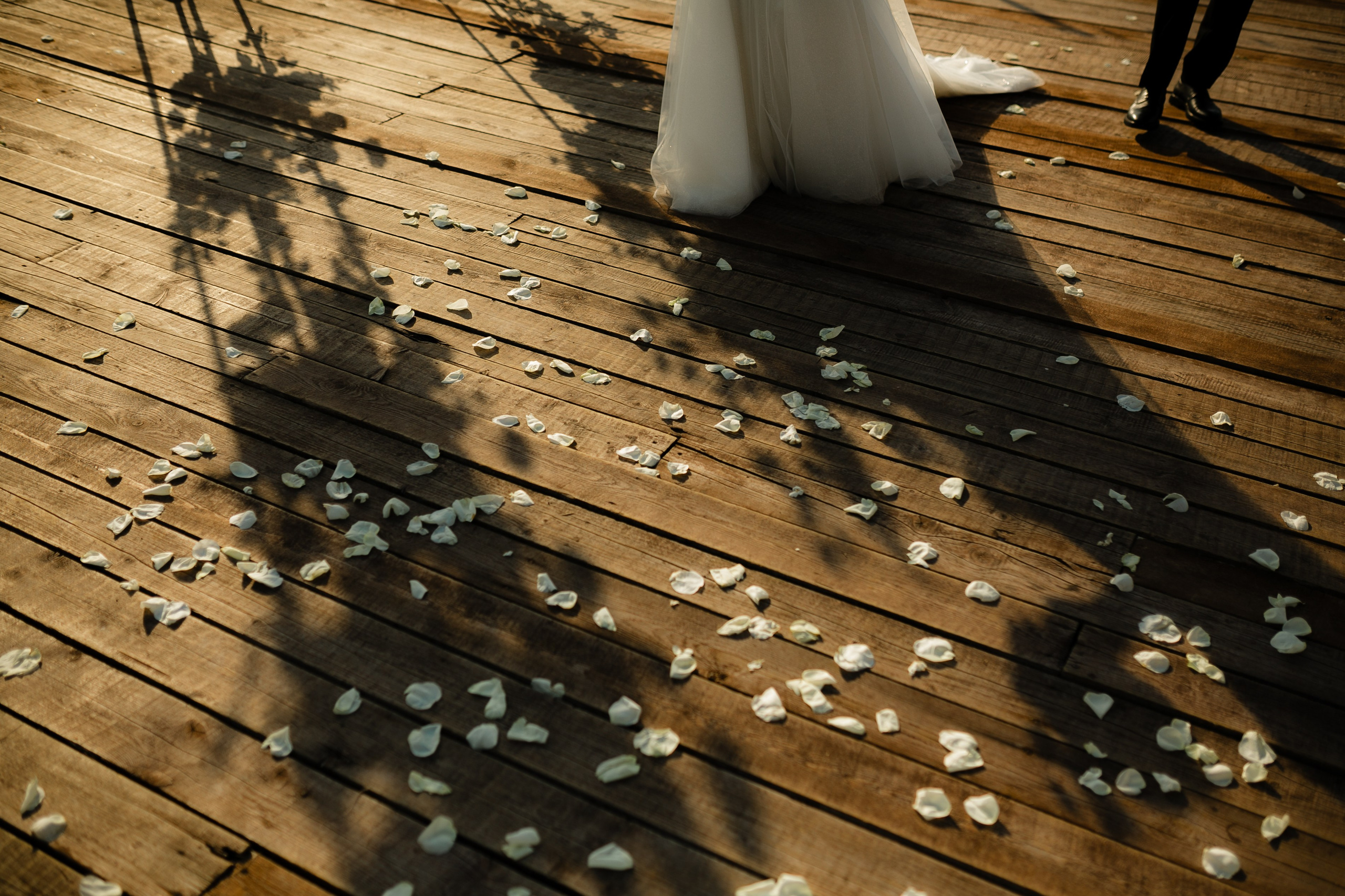 Владимир и Лизавета. Свадебный фотограф Владимир Воронин