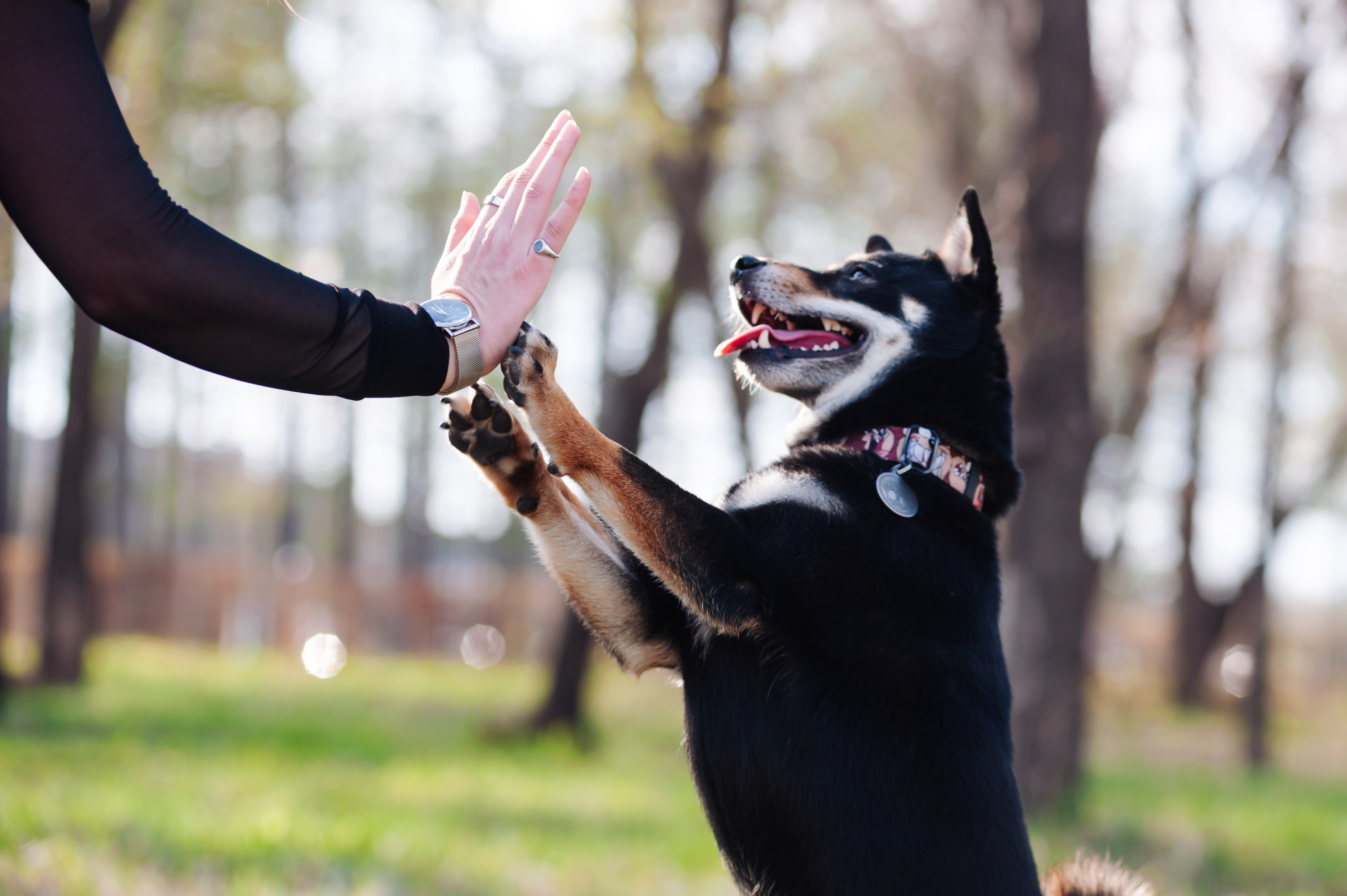 Ксения и Йоши. Фотограф Магнитогорск Данил Семенов