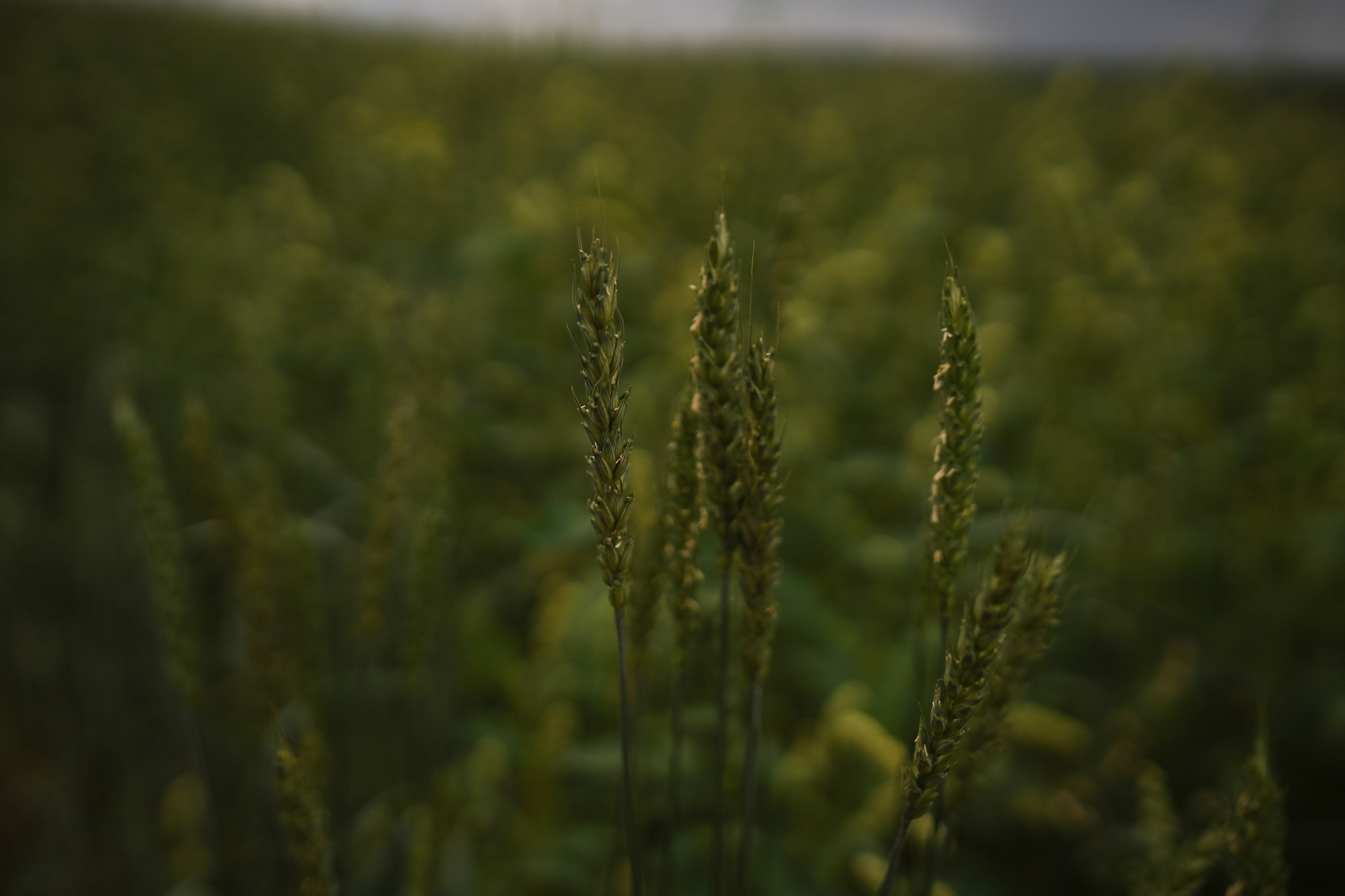 Все возможно