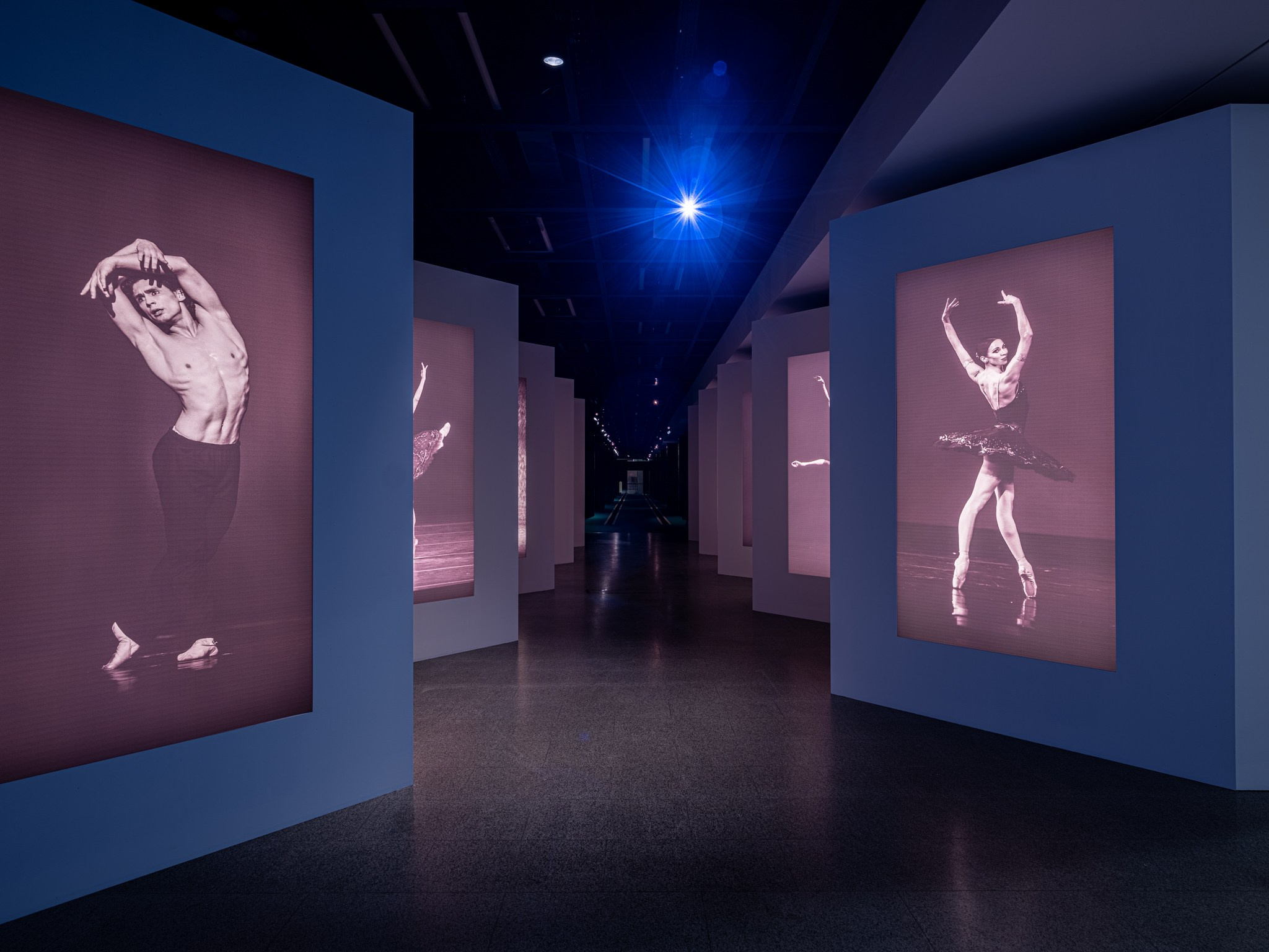 Выставка «Первая позиция. Русский балет» Манеж (СПБ) Planet9 РОСИЗО 2023. Фотограф Василий Буланов