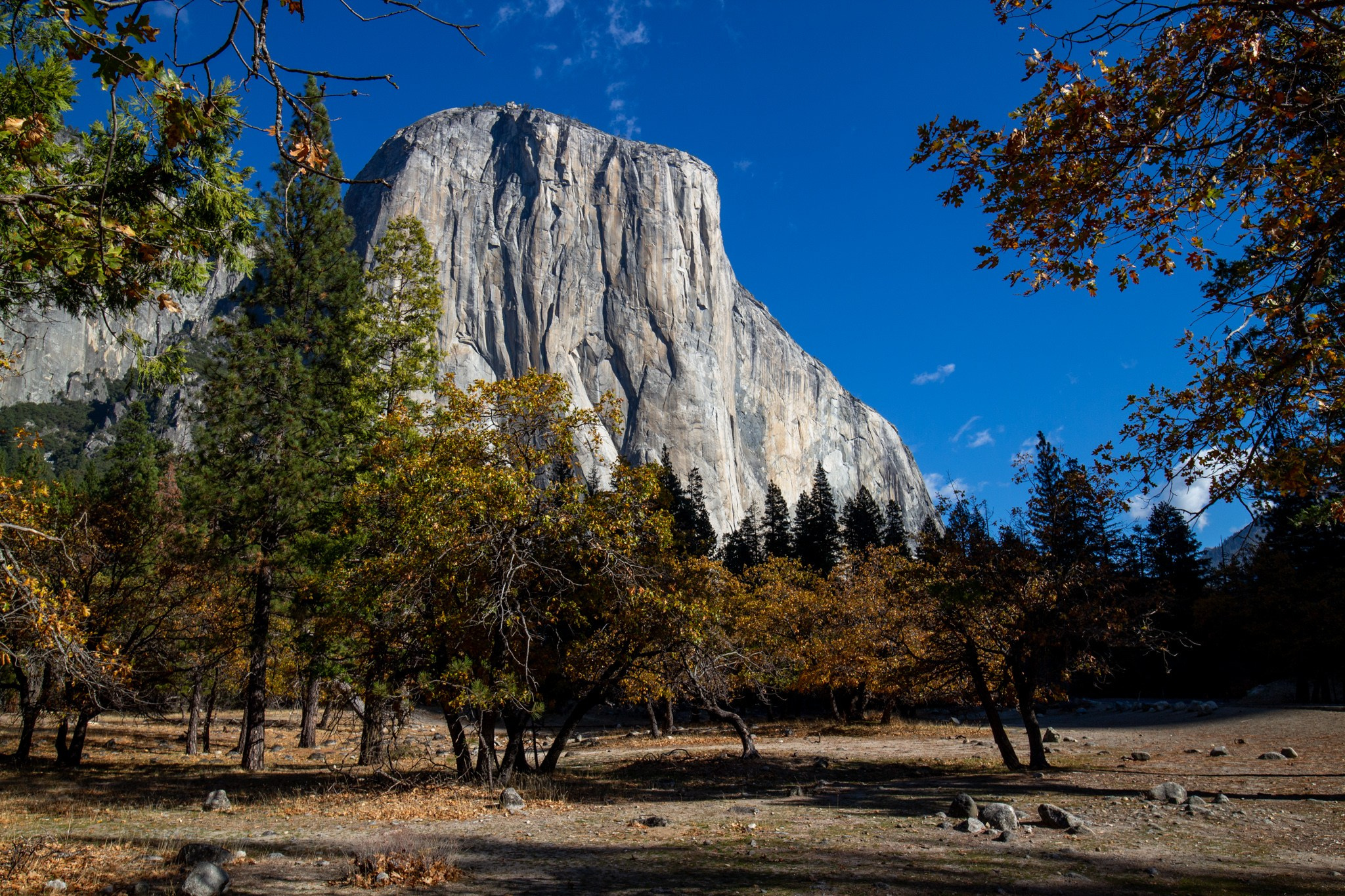 Парк Yosemite, США, 2013. Фотограф Василий Буланов
