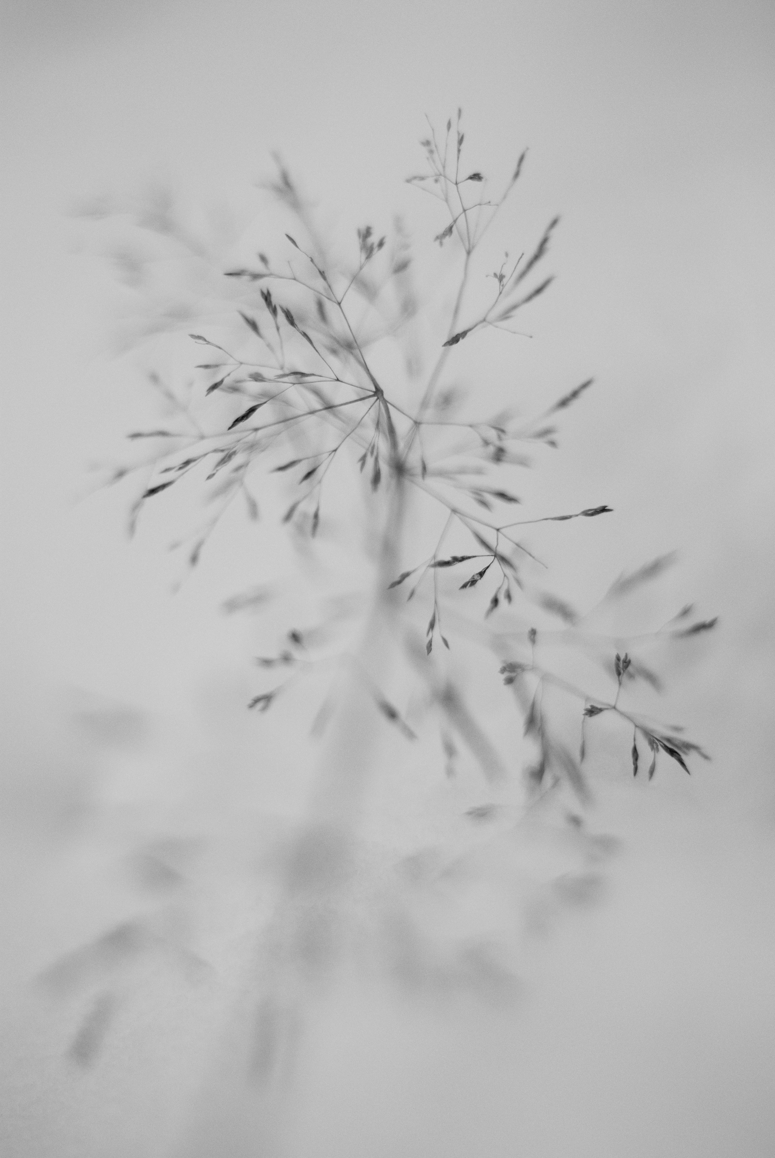 Внутривенные сны (2018-2023)