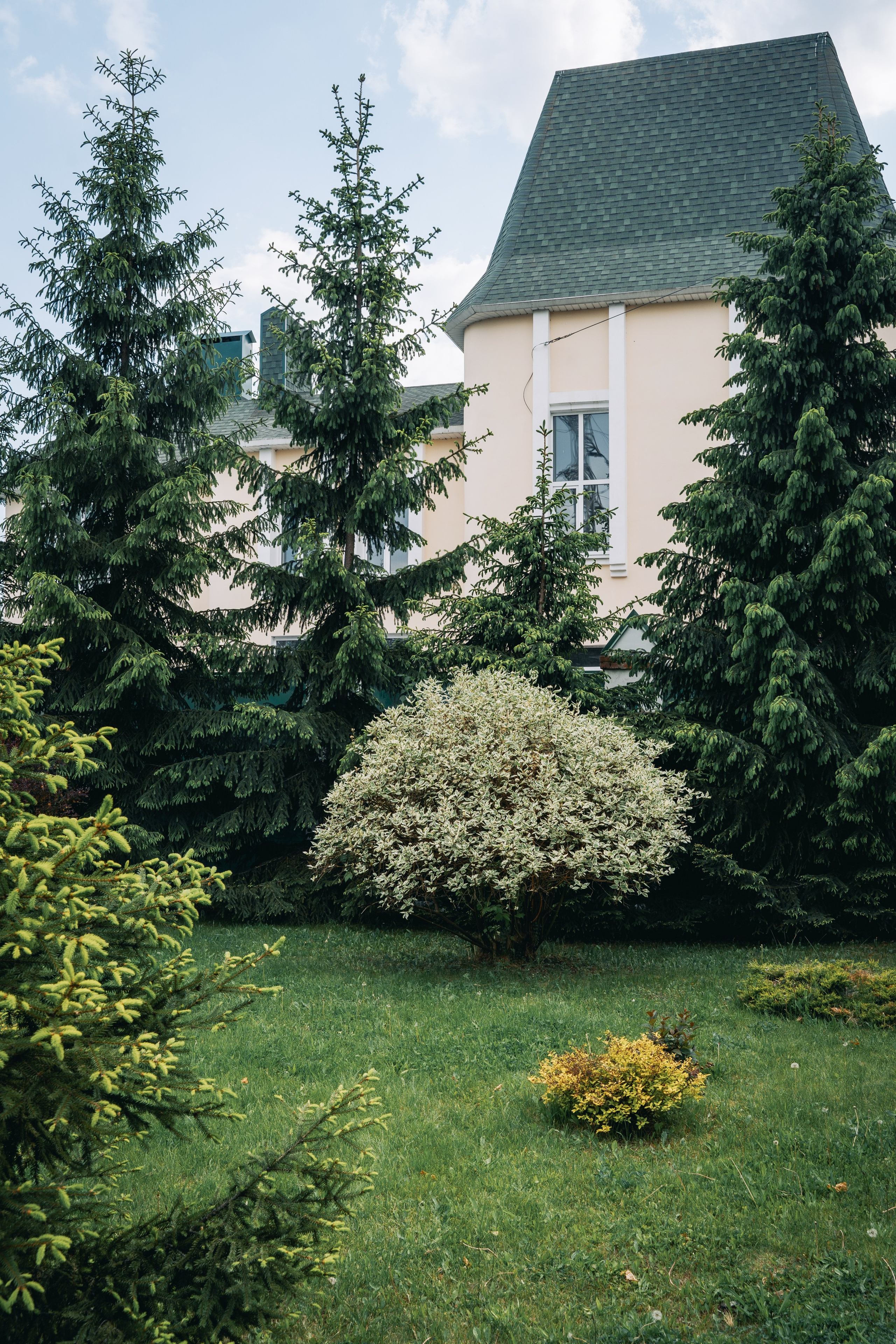 Места для съёмок. Фотограф Александр Решня