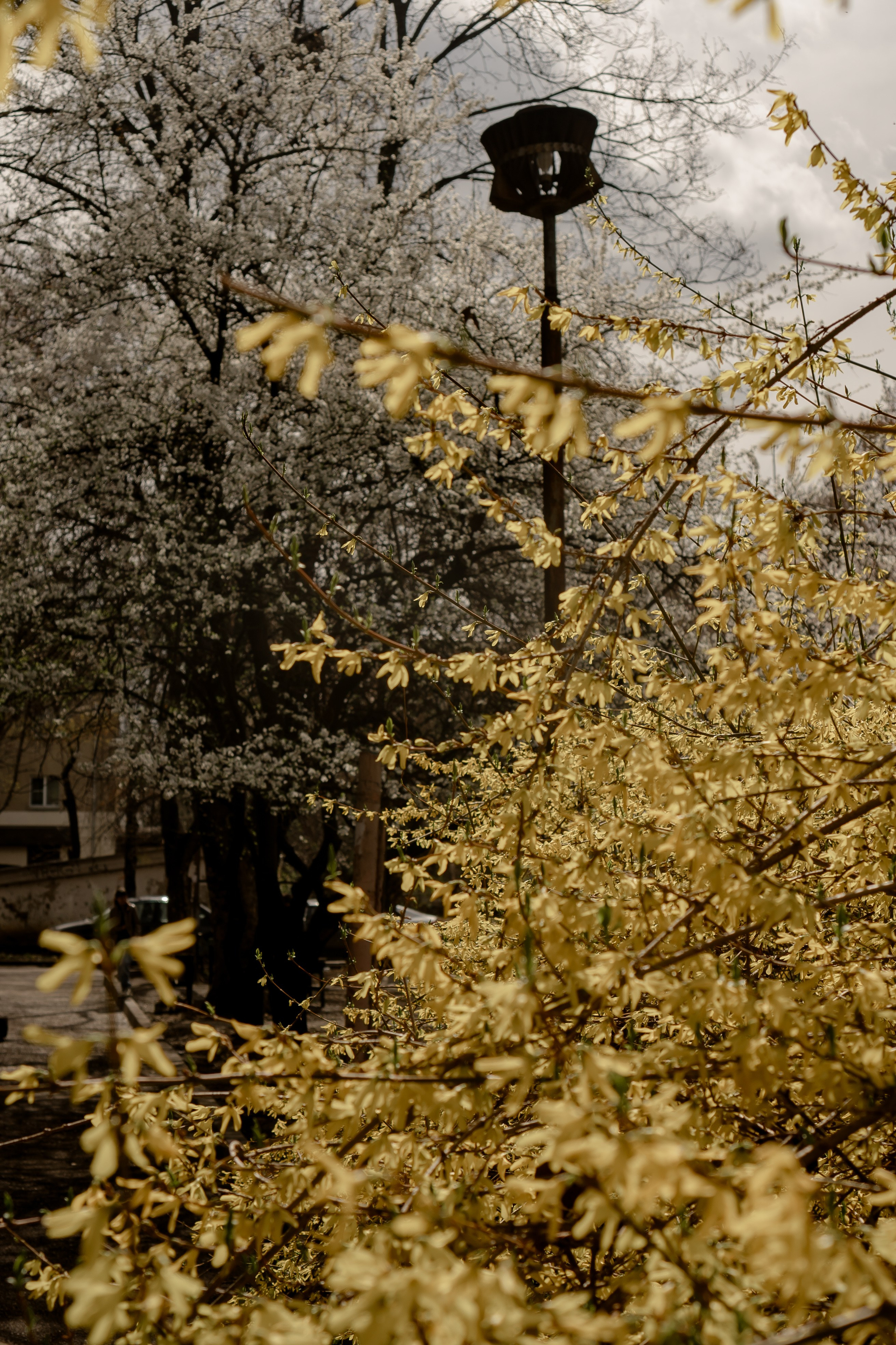 ПЯТИГОРСК. Профессиональный фотограф, Санкт-Петербург — Виктория Богомолова