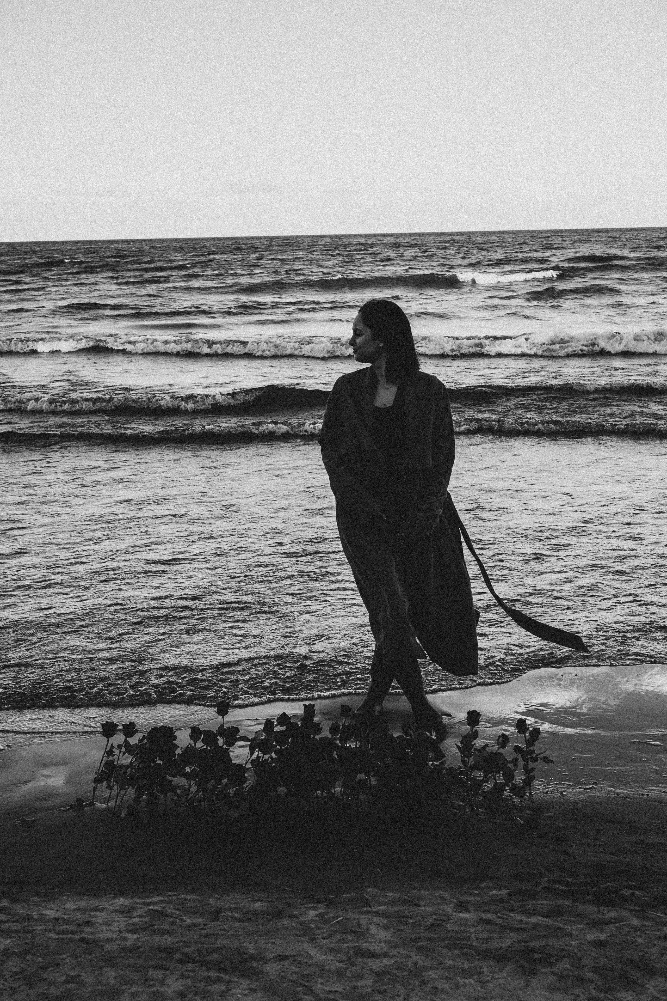 Розы. Профессиональный фотограф, Санкт-Петербург — Виктория Богомолова