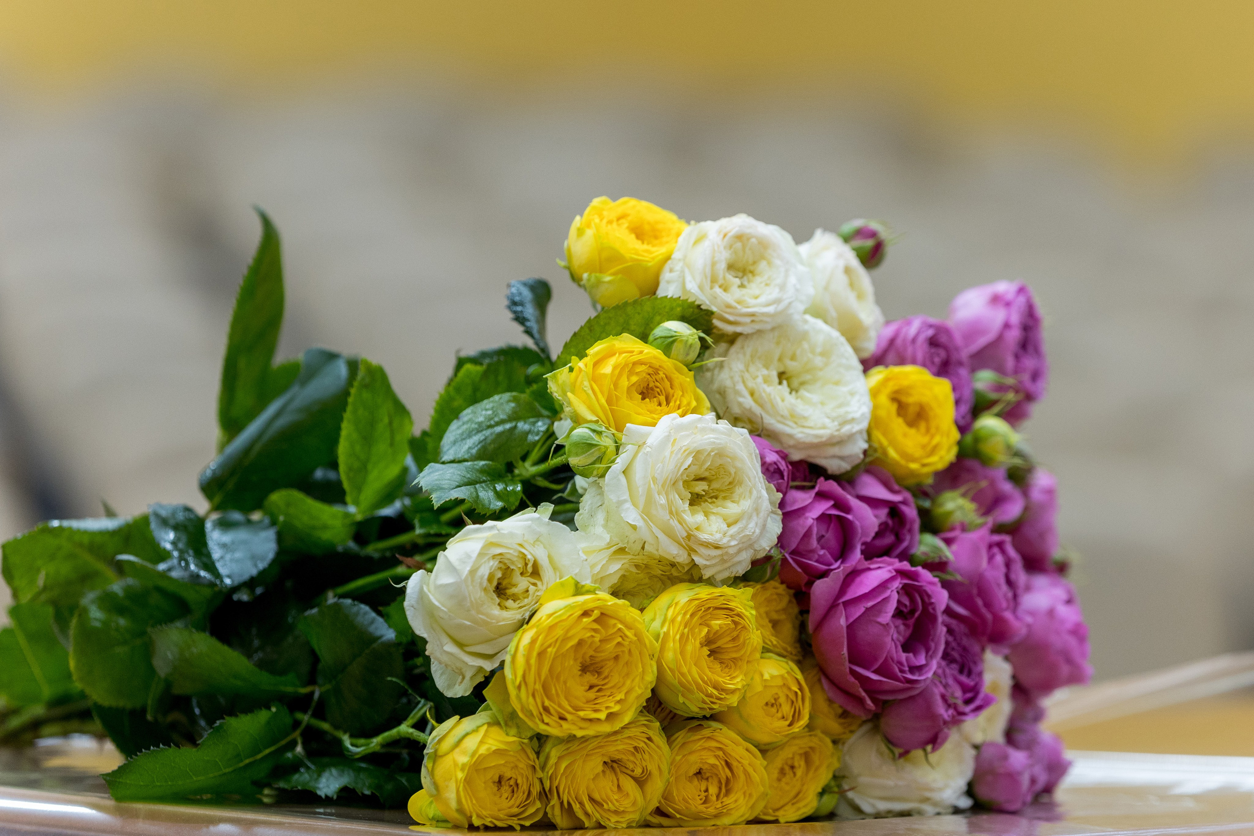 ЮрФак — 105 лет. Владислав Волков | Фотография и видеосъемка в Воронеже