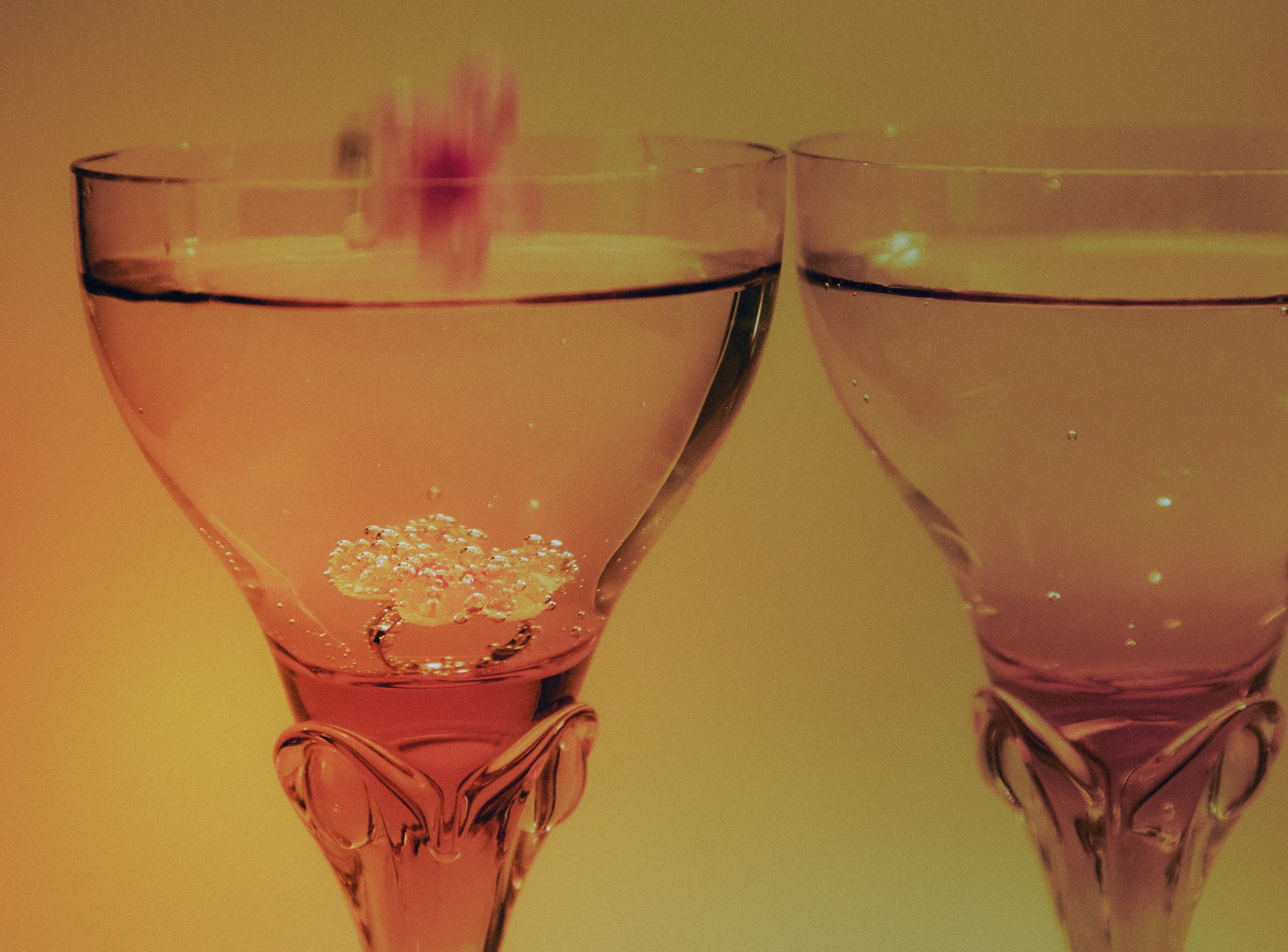 16. Still Life. Лисс