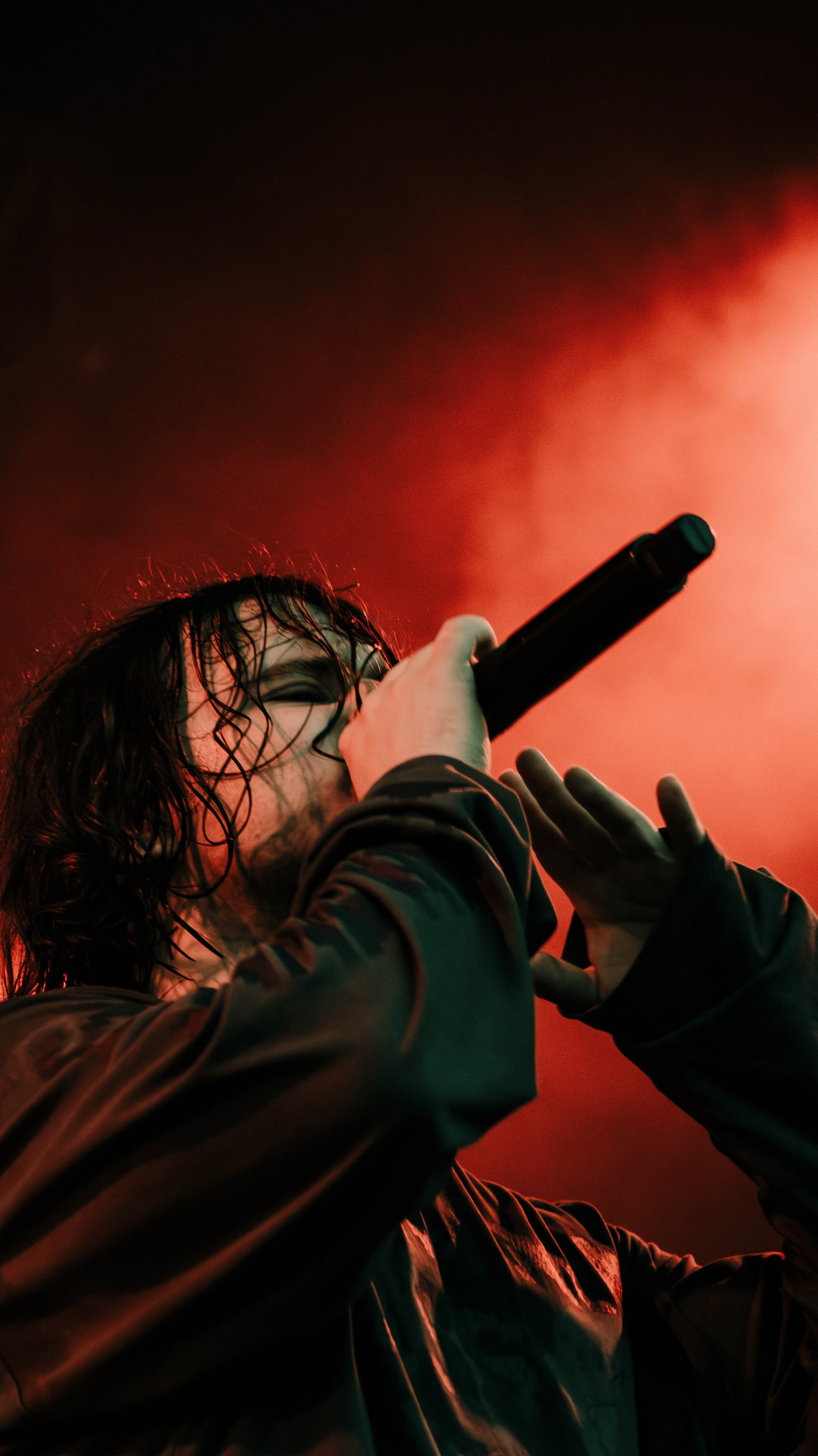 SALUKI. Фотограф montefrioree