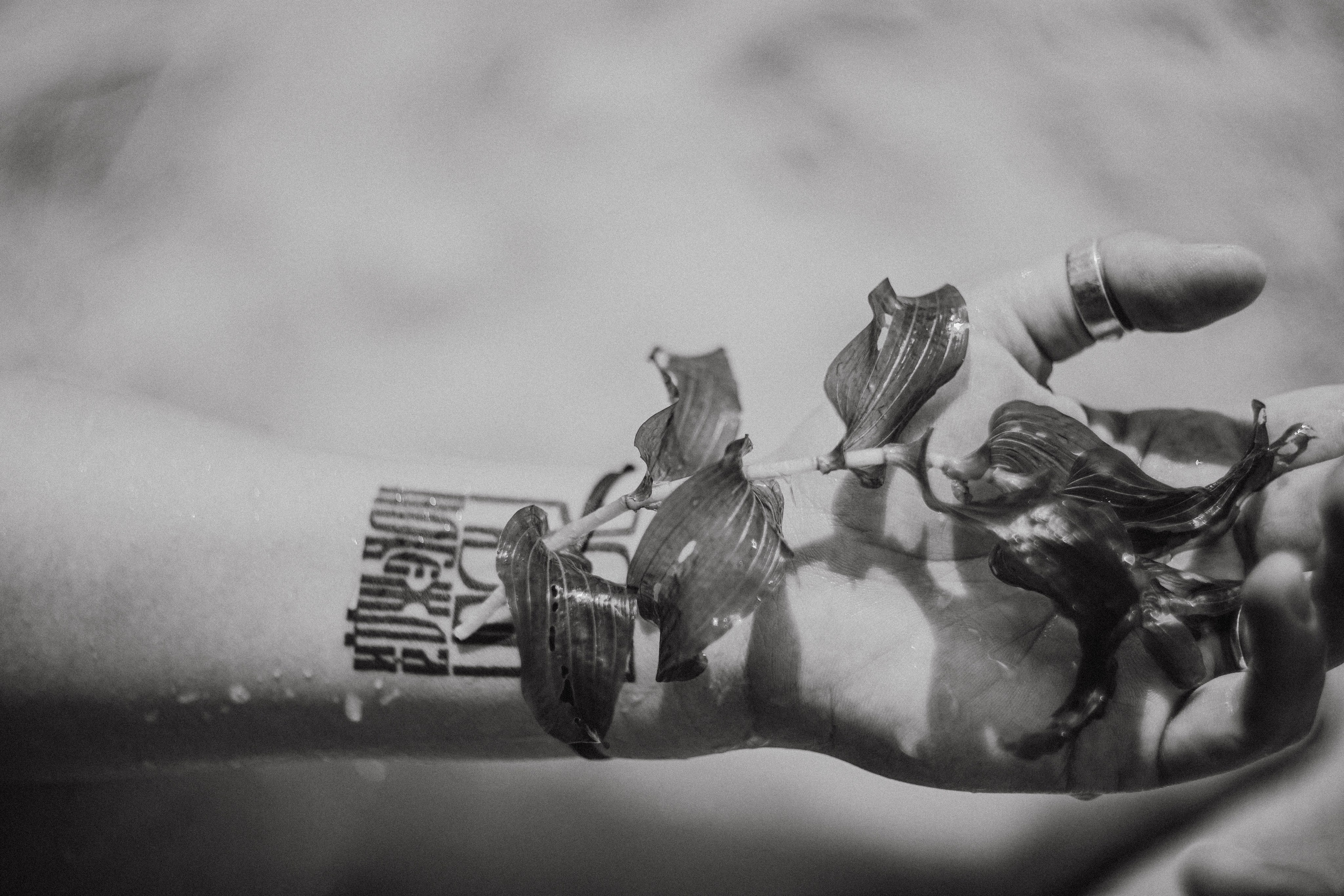 Влада. Флёр. Фотограф в Нижнем Новгороде