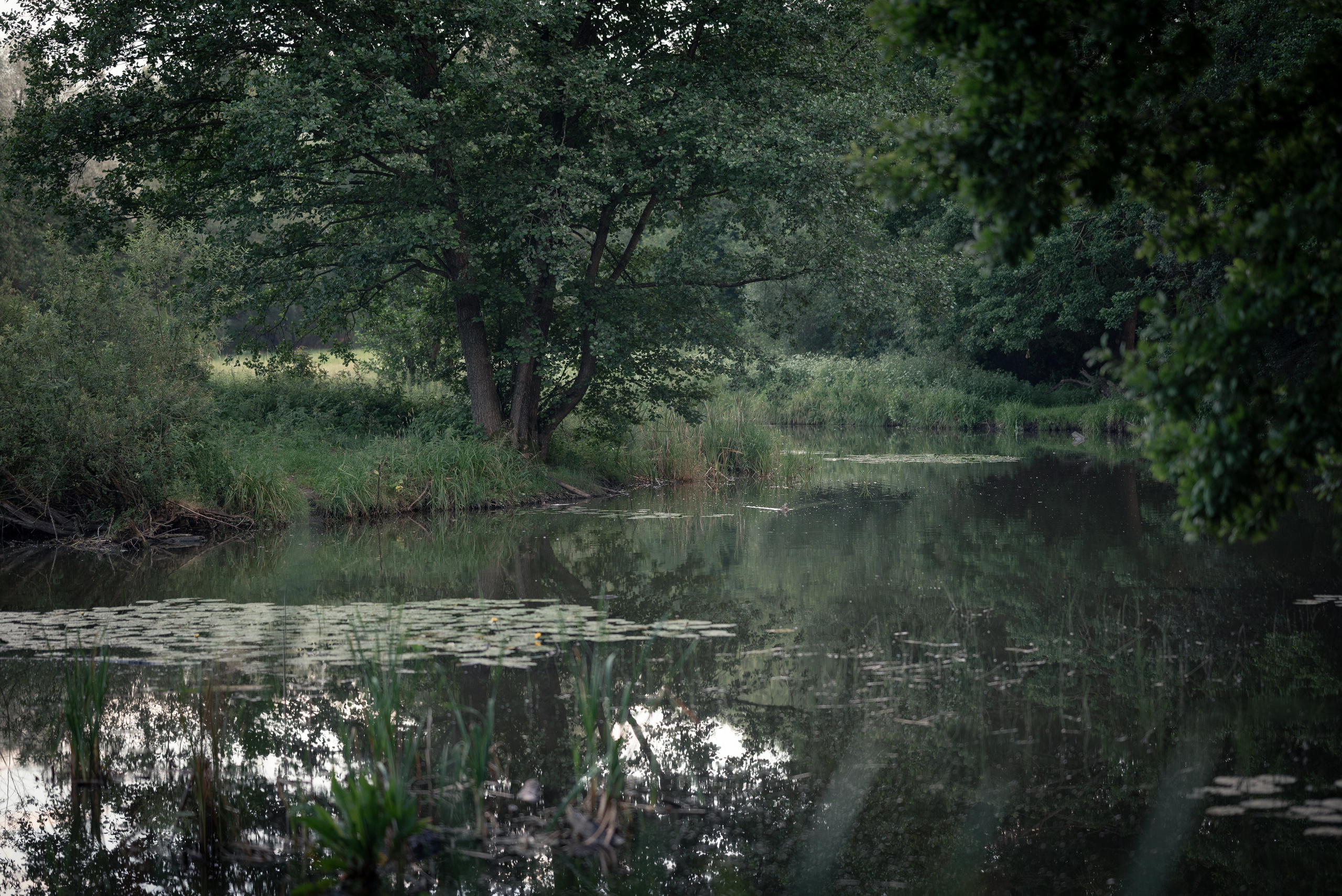Места. Фотограф в Минске Дарья Кончакова