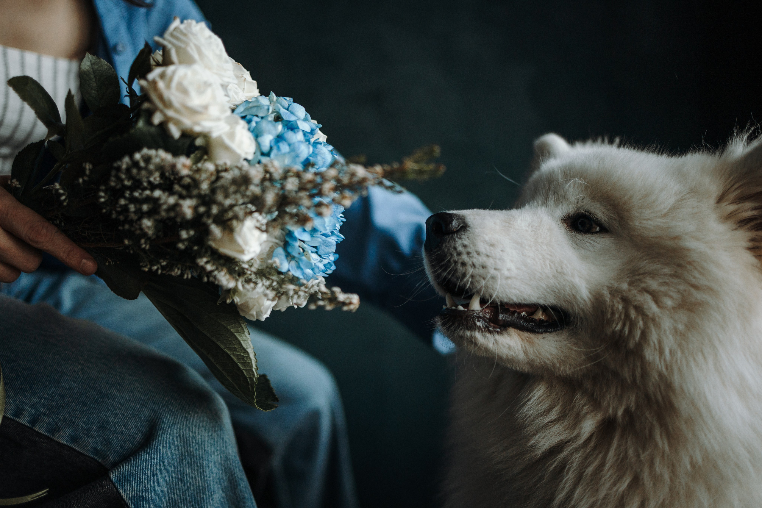 Марина и Мушу. Фотограф — Анималист | Санкт-Петербург