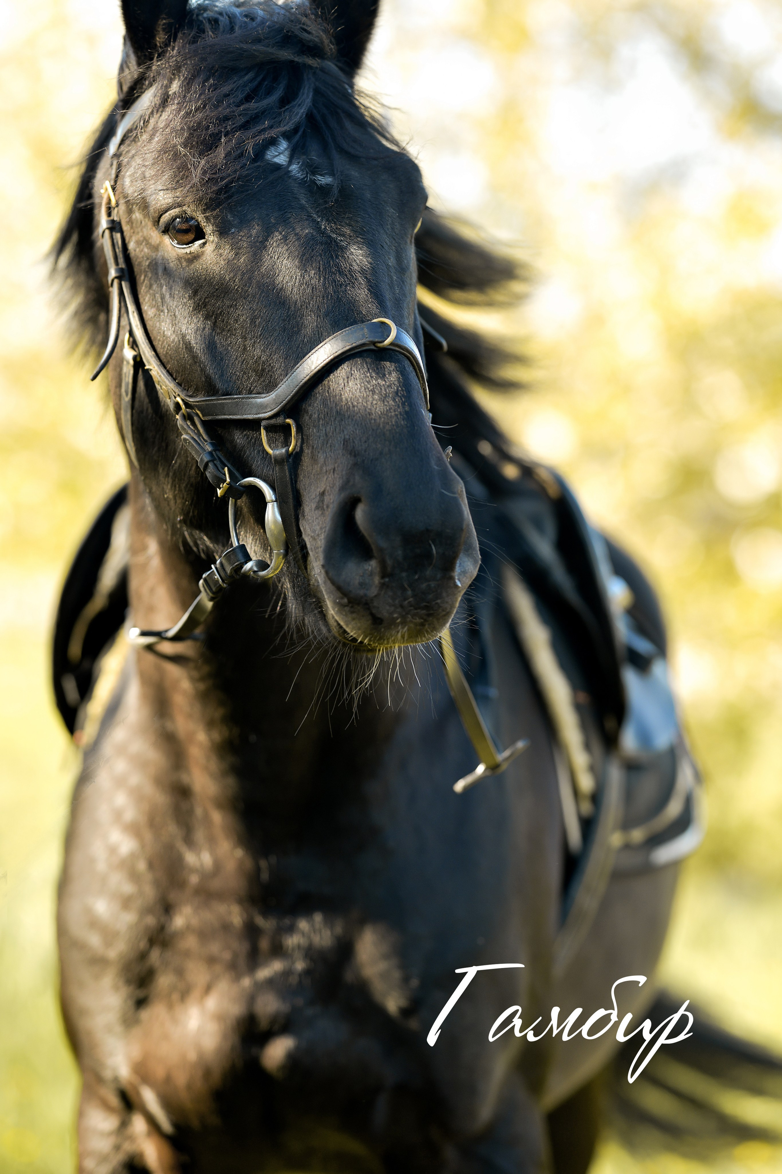 Тематические съемки. Фотостудия МАКС