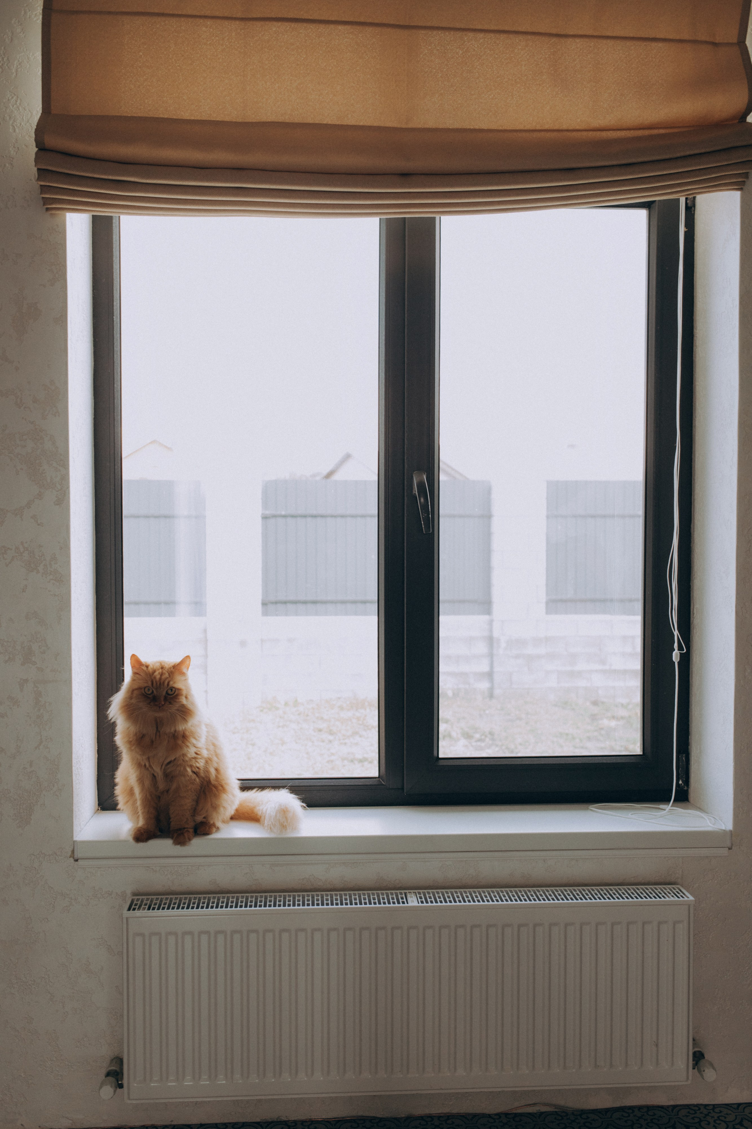 🤎. Семейный фотограф Виолла Платонова Белгород