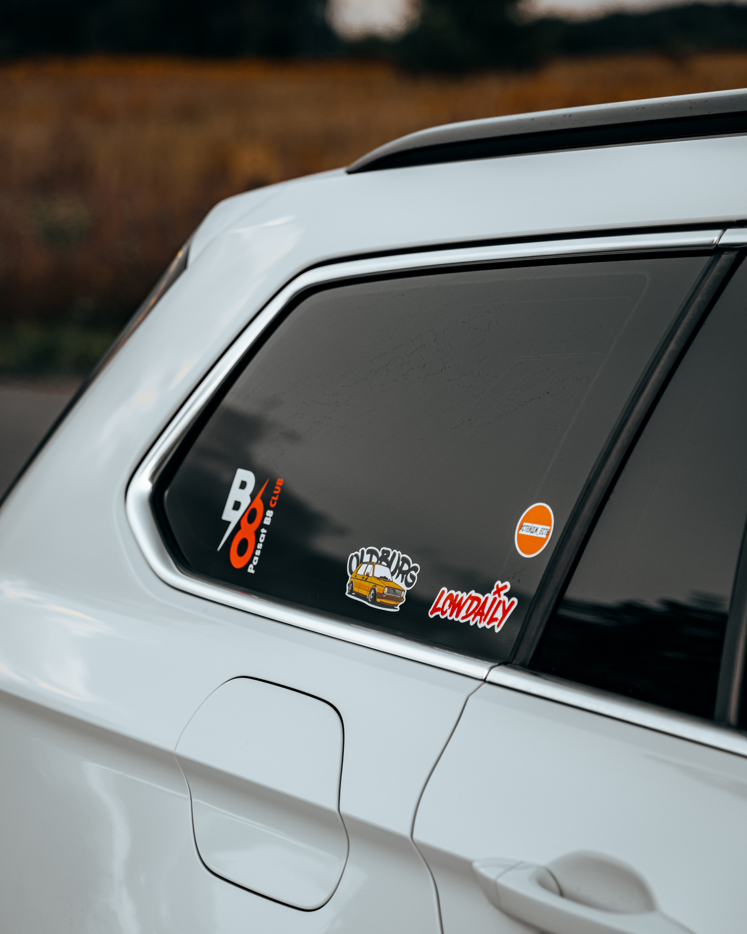 VW Passat B8 Project. Vlad Trykov