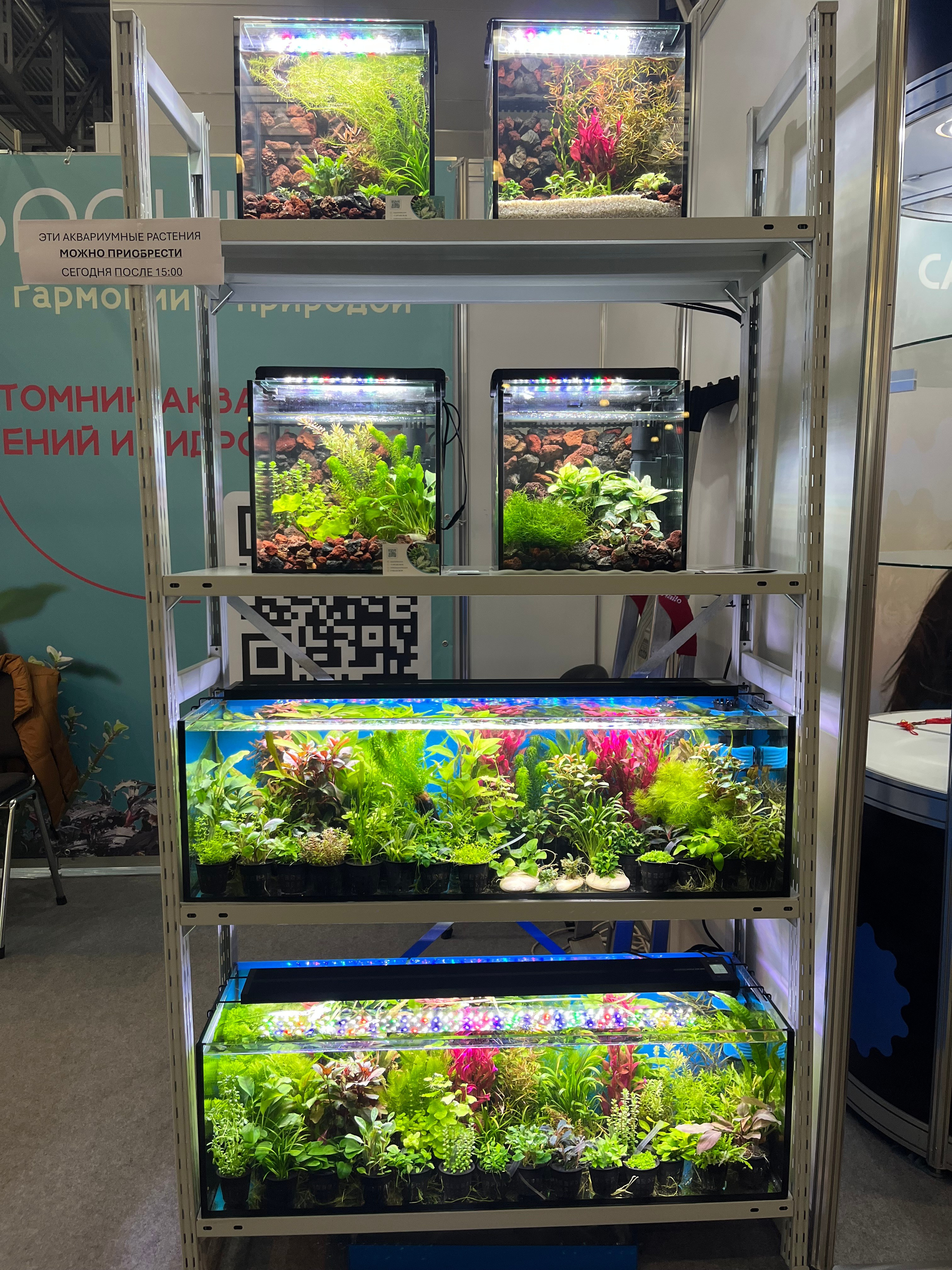 Выставка Парк Зоо 2024. Аквариумист Максим Ерёмин. Aqua Maxim