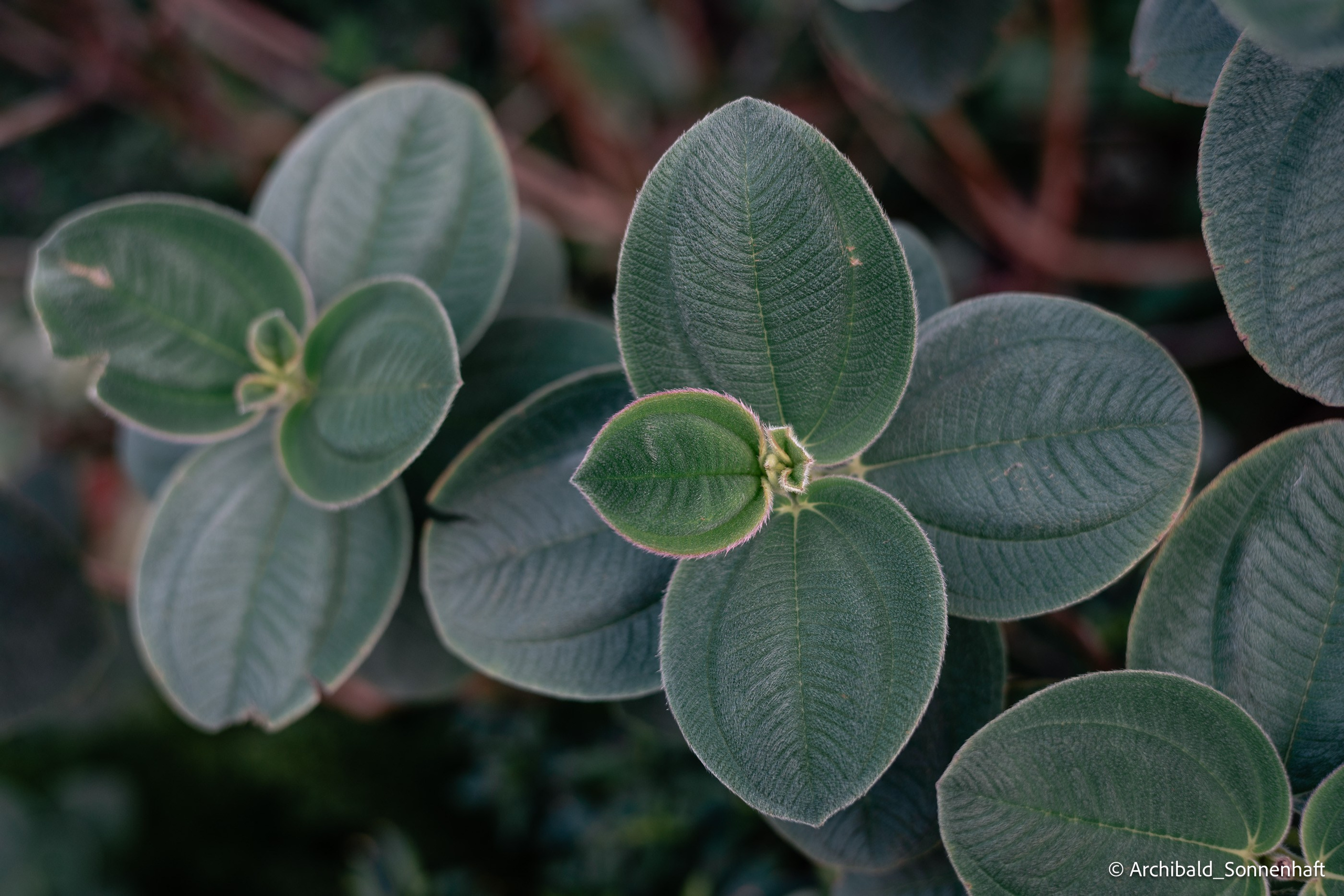He Art Museum in GZ. Photographer in Guangzhou, China. Archibald Sonnenhaft