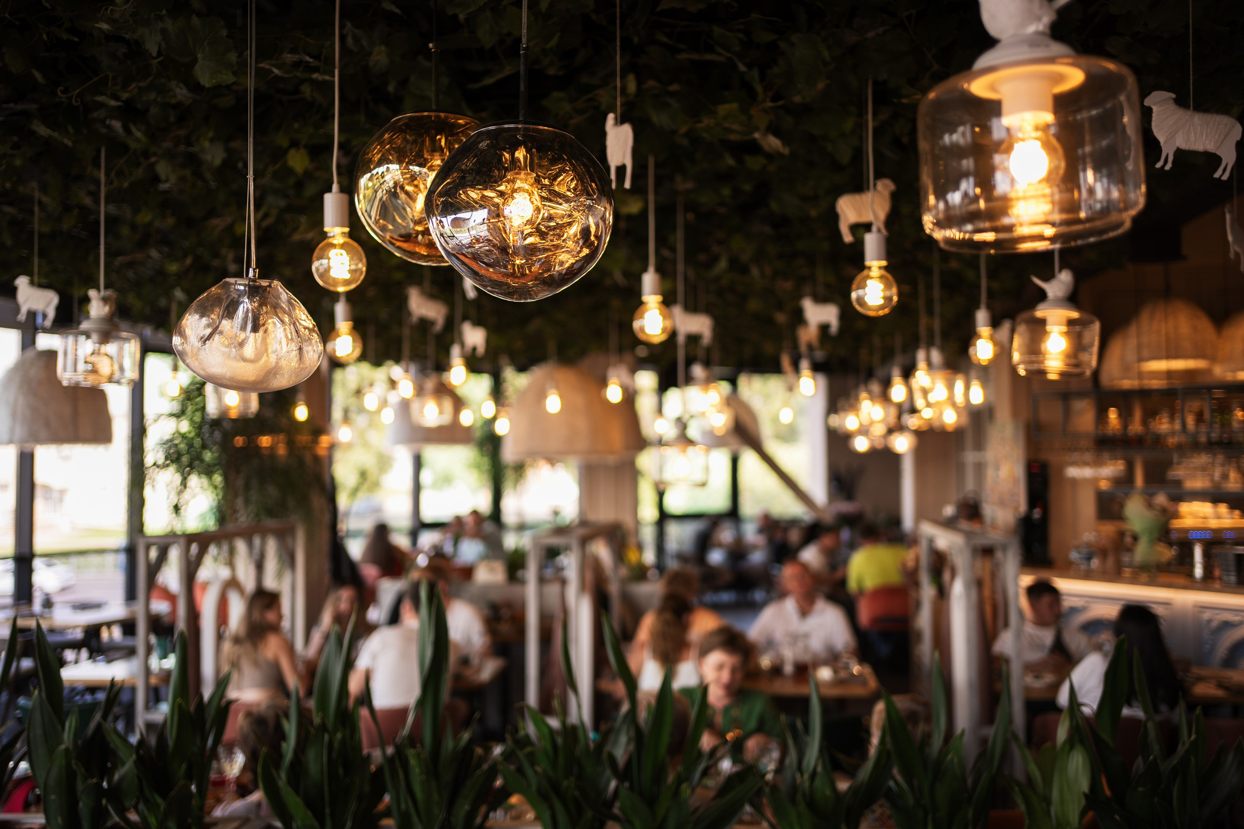 День рождения ресторана «Хочу Пури». Фотограф на любое событие в Кемерово