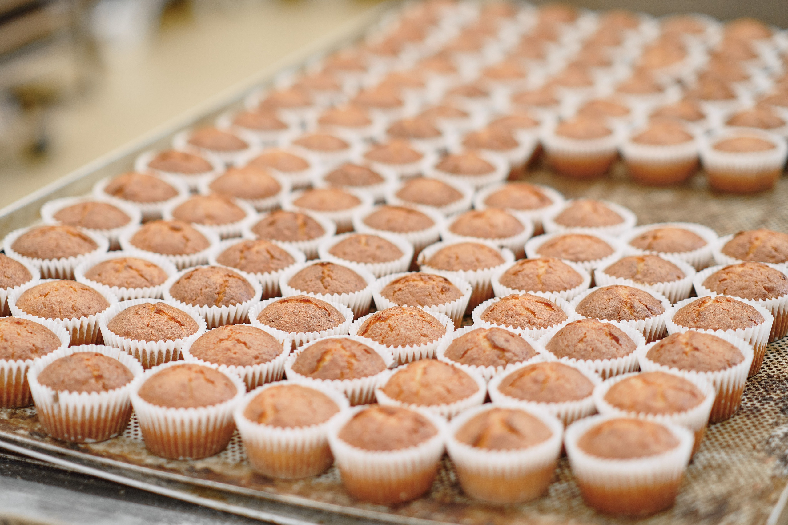 Фотограф на мероприятие. Light Media — креативный видеопродакшн