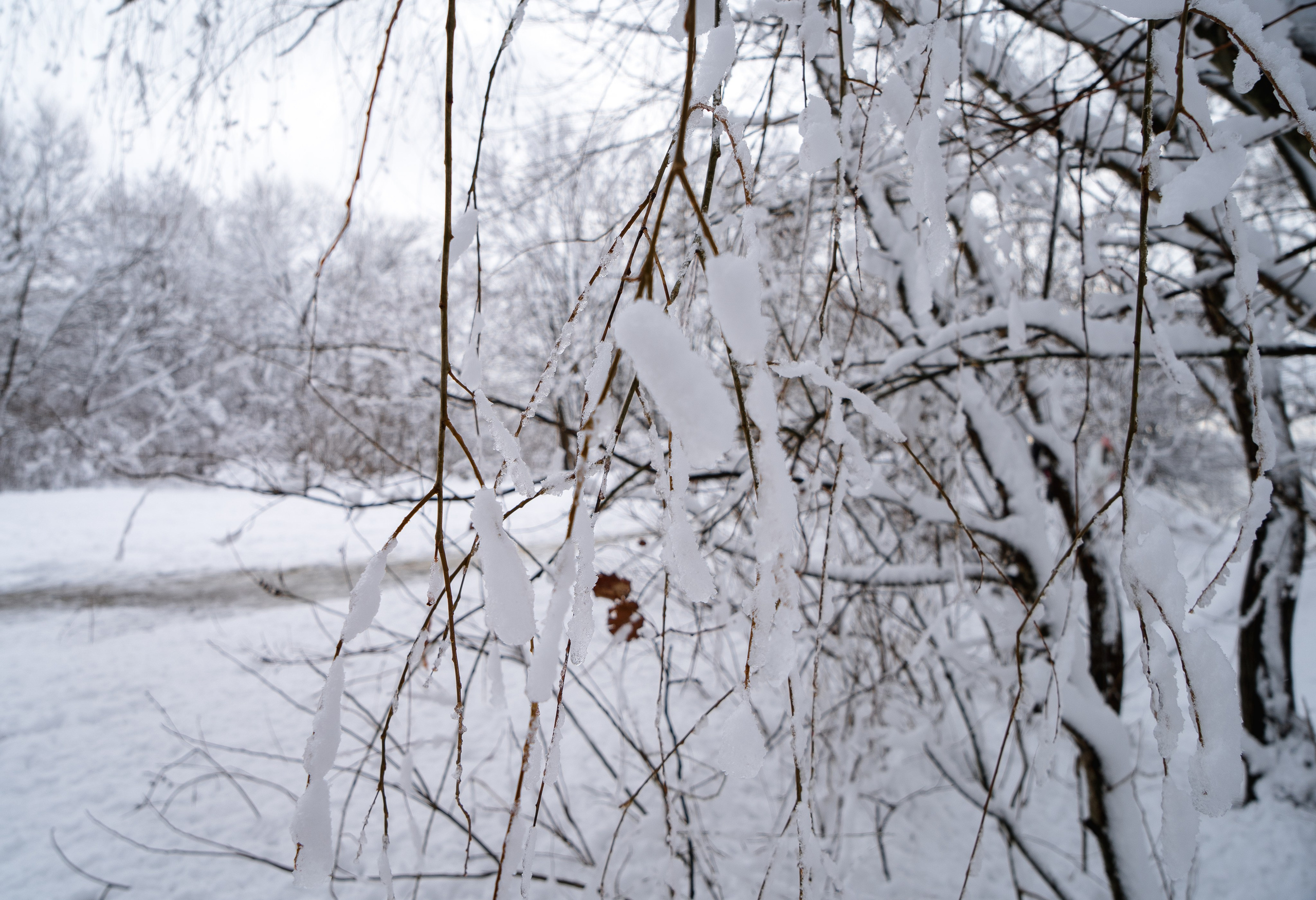 Зима 2024. Свадебный и семейный фотограф/видеограф в Краснодаре Наталья Осинская