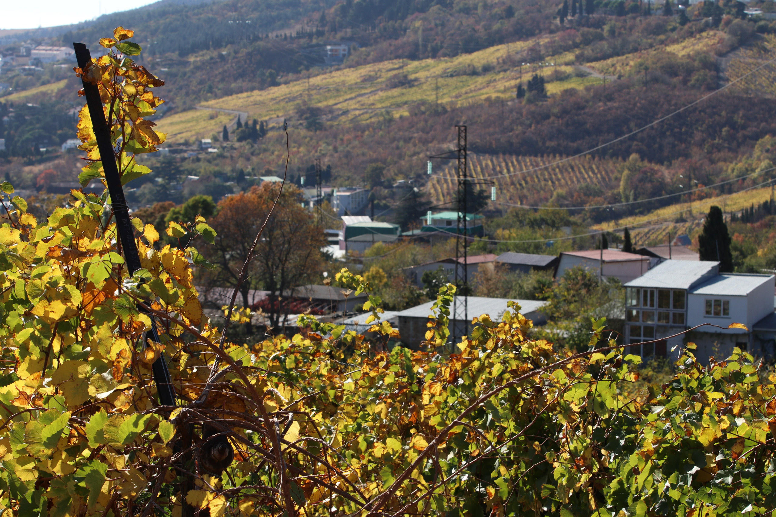 Крым. ЮБК (Гурзуф, Судак и их окрестности). Ноябрь 2023. Путешественник-фотограф из Санкт-Петербурга Татьяна Свистулина