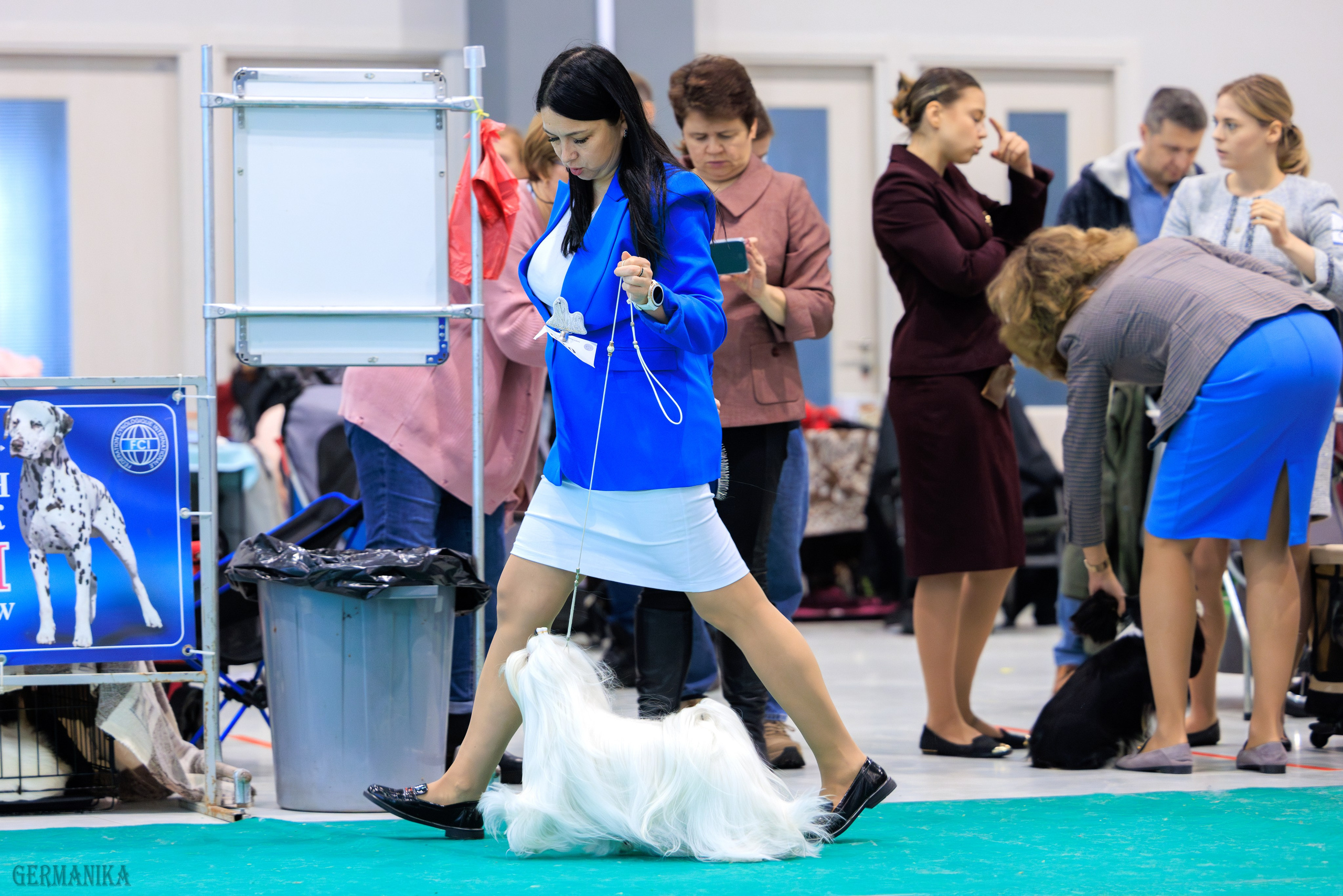 Минск 24-25.02.2024. Фотограф-анималист Юлия Германика