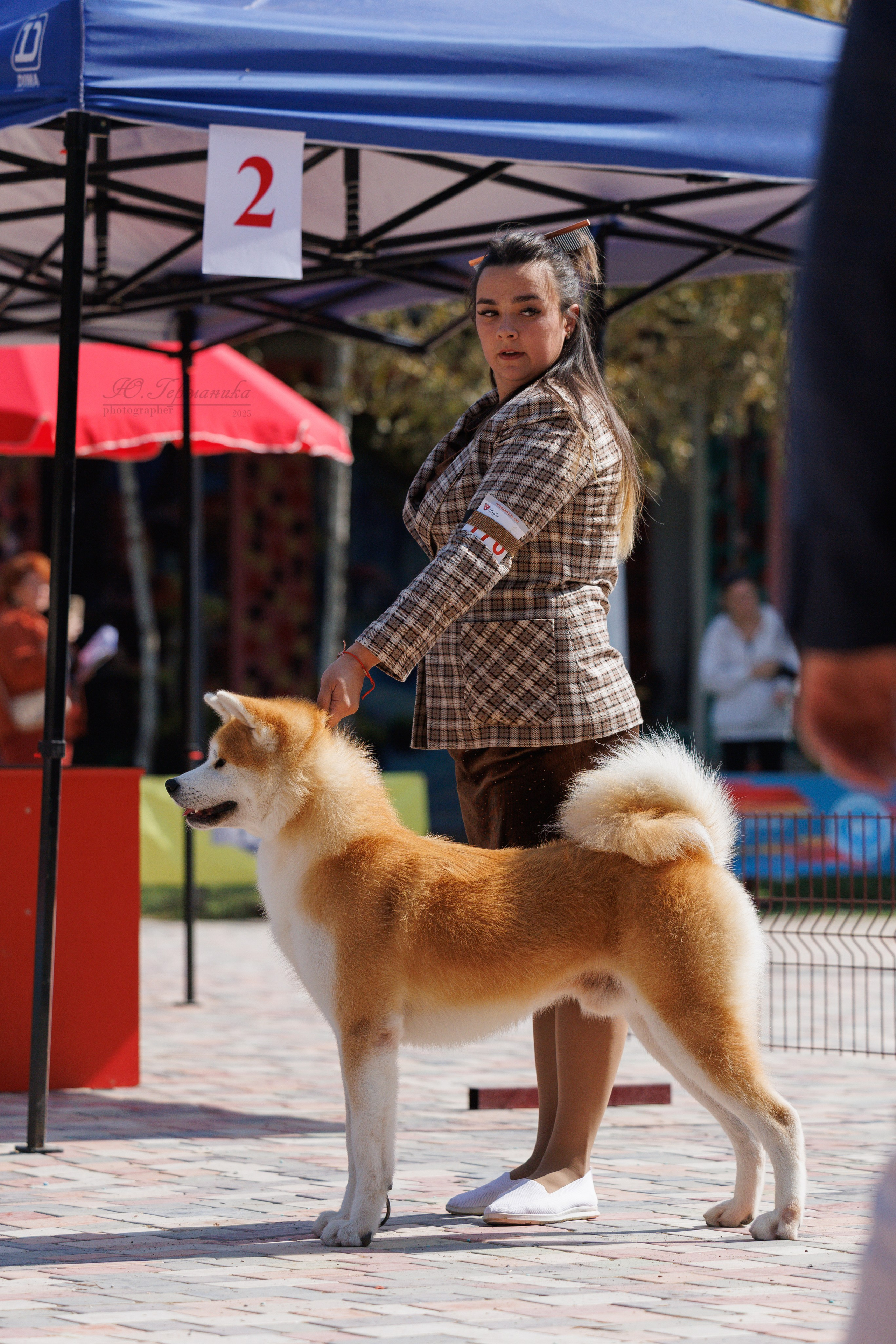 Ташкент 3хCACIB 3-5.10.2025. Фотограф-анималист Юлия Германика