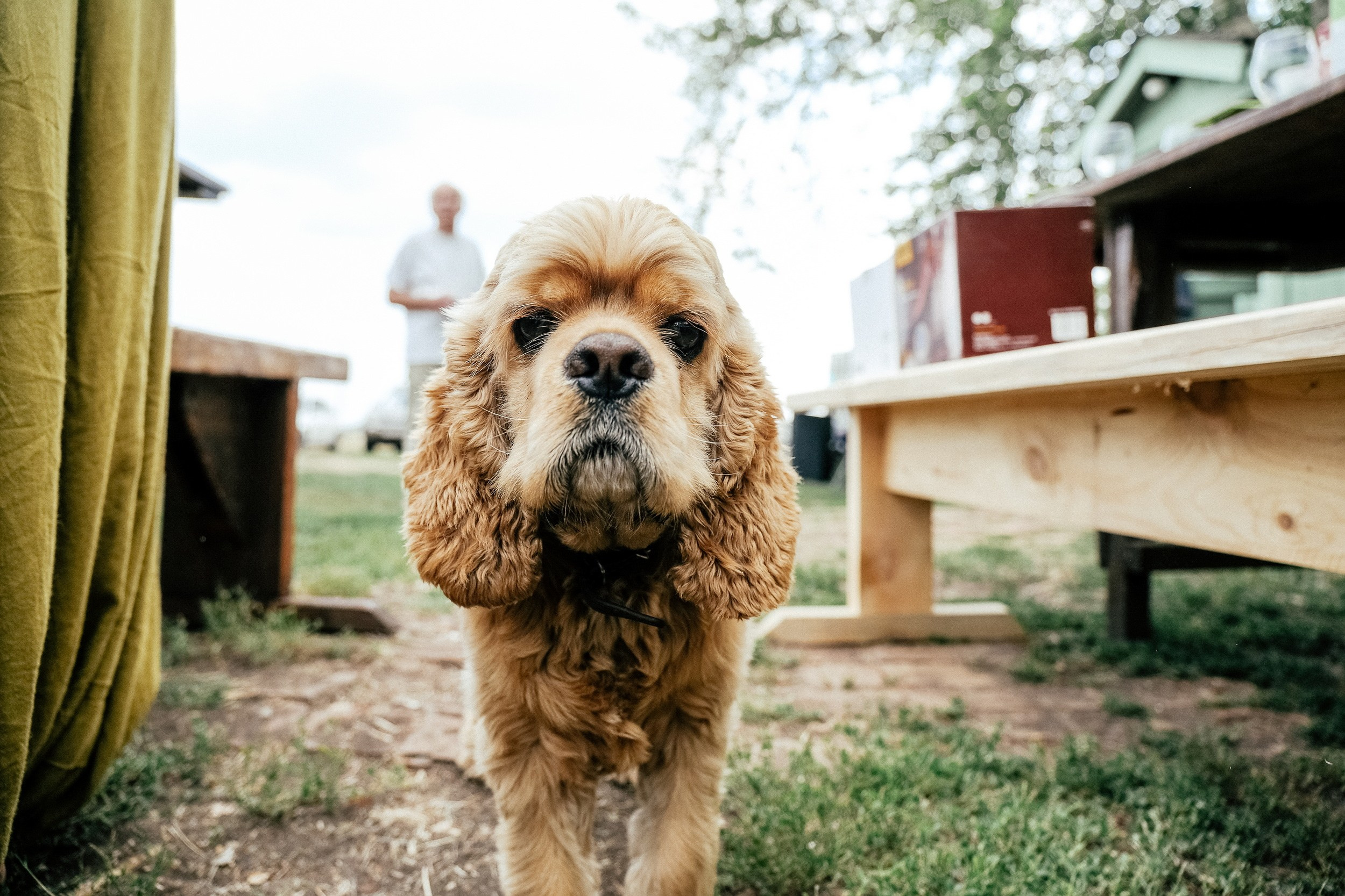 Свадьба на аэродроме