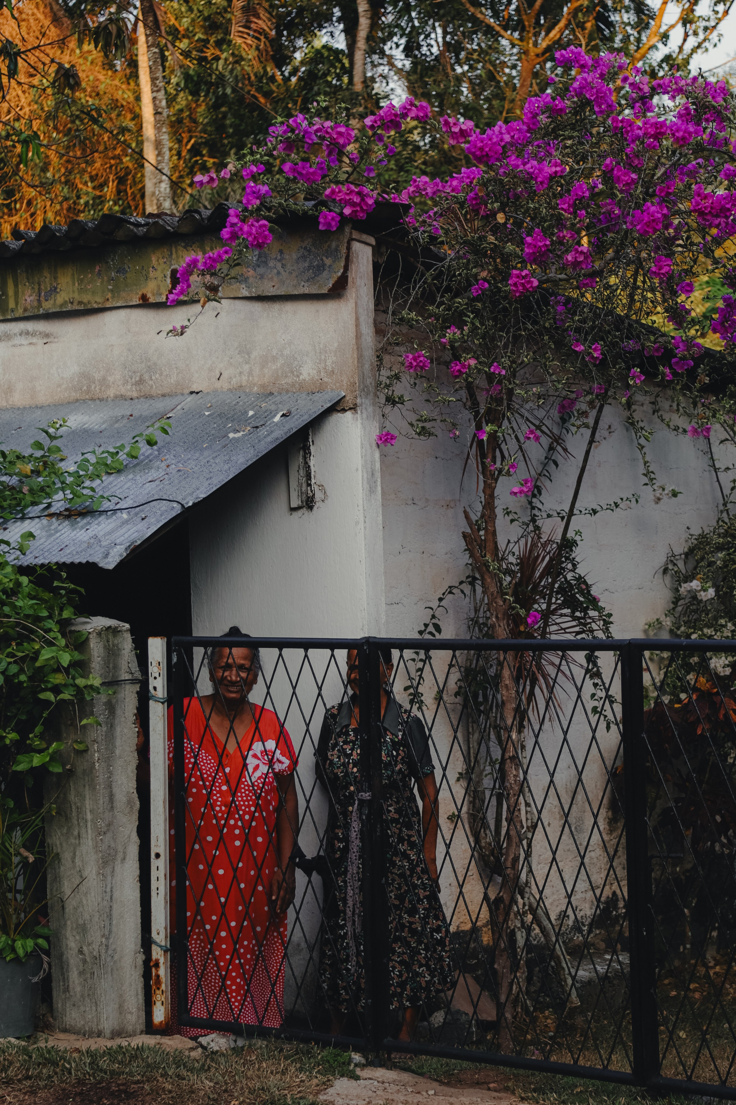 Шри-Ланка. Фотограф Юля Постнова