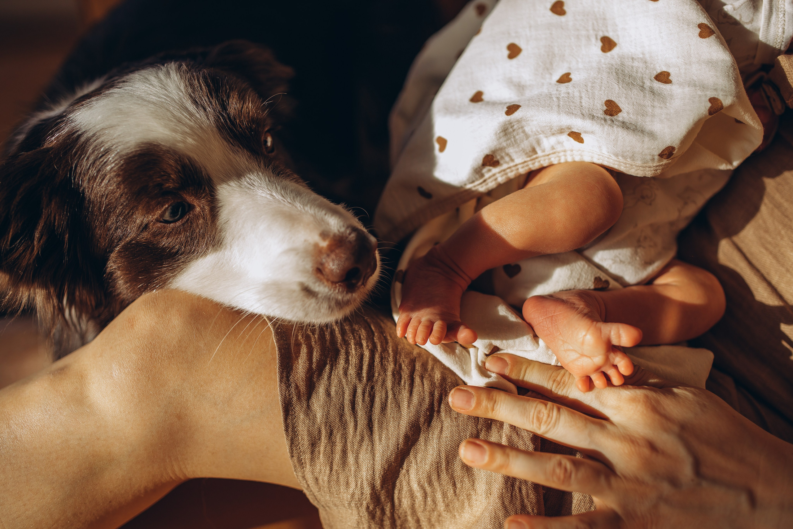 Новорождённые и малыши. Семейный фотограф Маруся Самылкина в Санкт-Петербурге