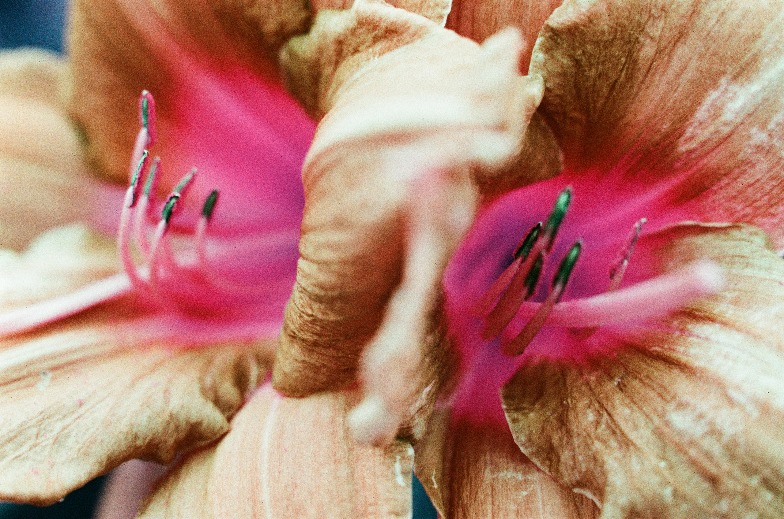 Point of no reply // ukraine, crimea VIII. EVER EXPOSED