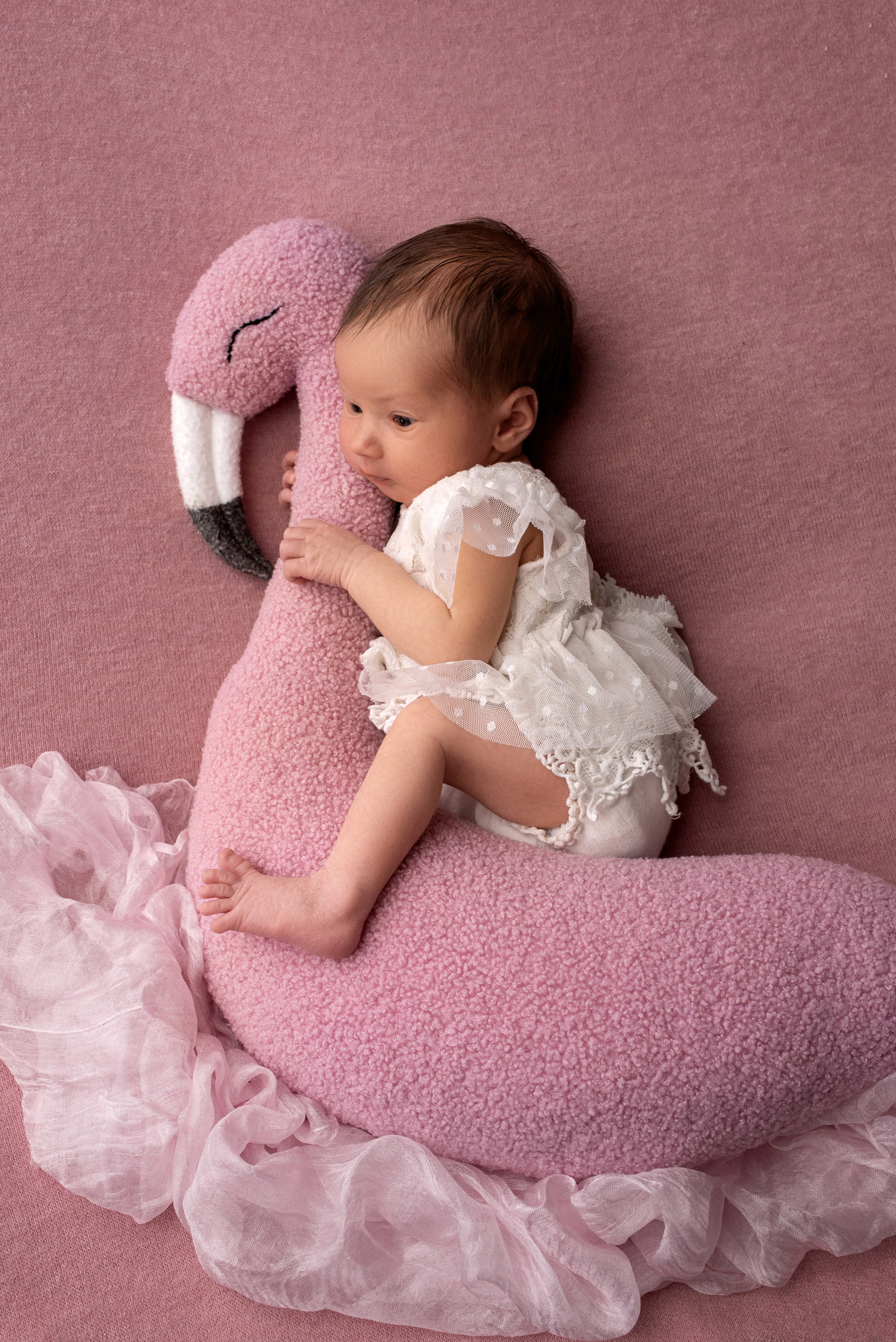 Новорождённые девочки. Детский фотограф новорождённых в Минске Боровик Екатерина