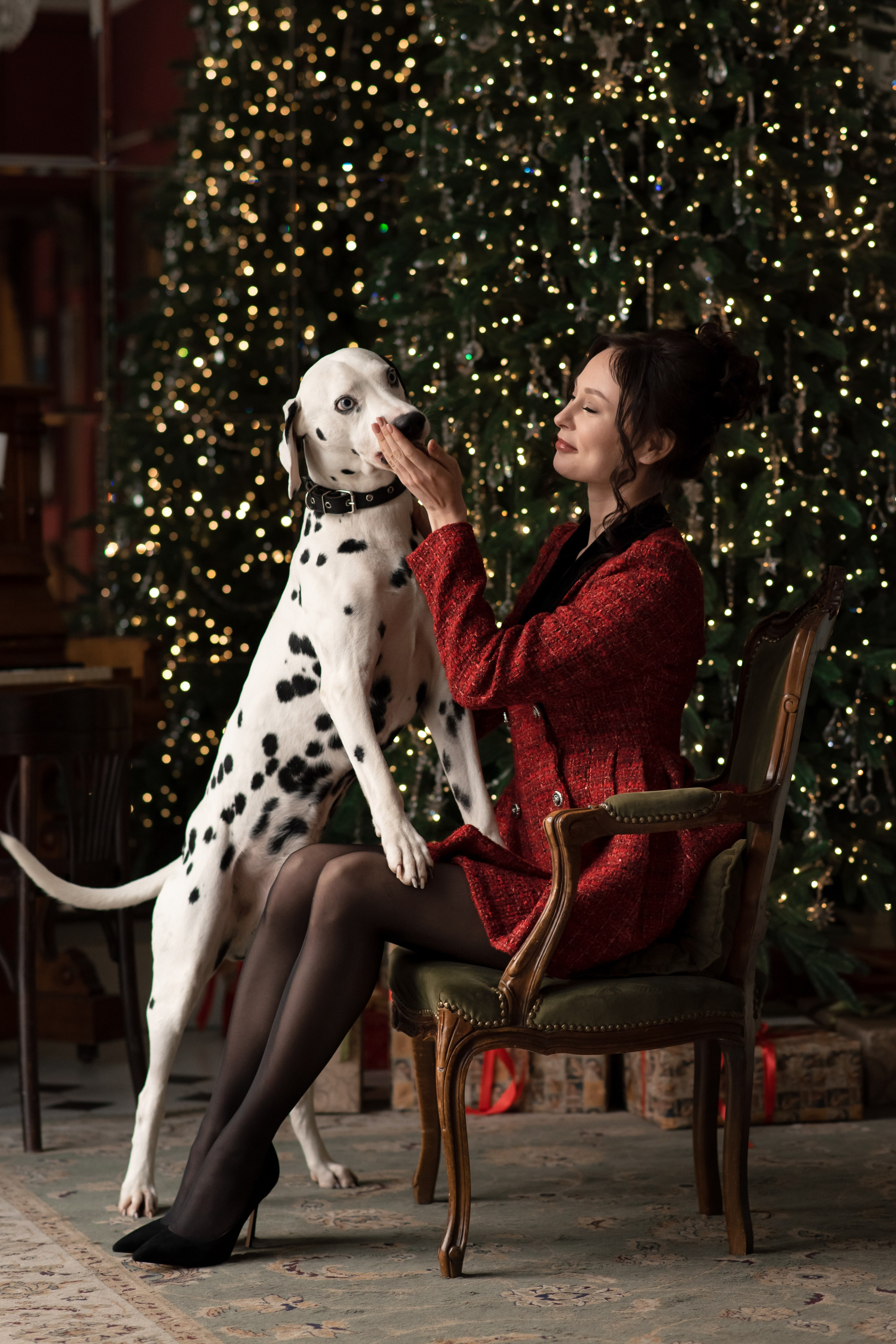 фотосессия с долматинцем