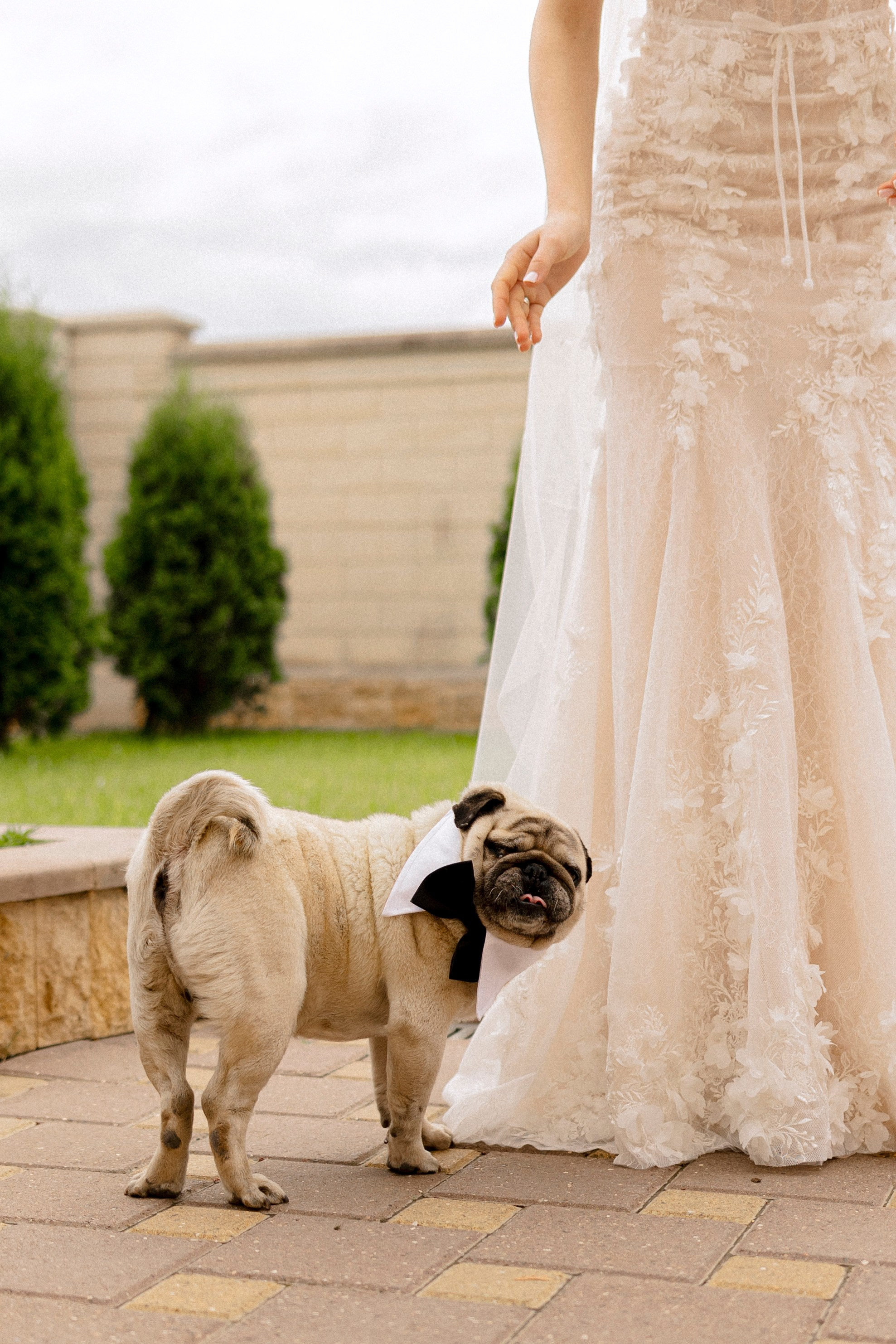 SERGEY & ANASTASIA | ESSENTUKI. Фотограф Настя Конник | Пятигорск | Эльбрус | Домбай | Архыз