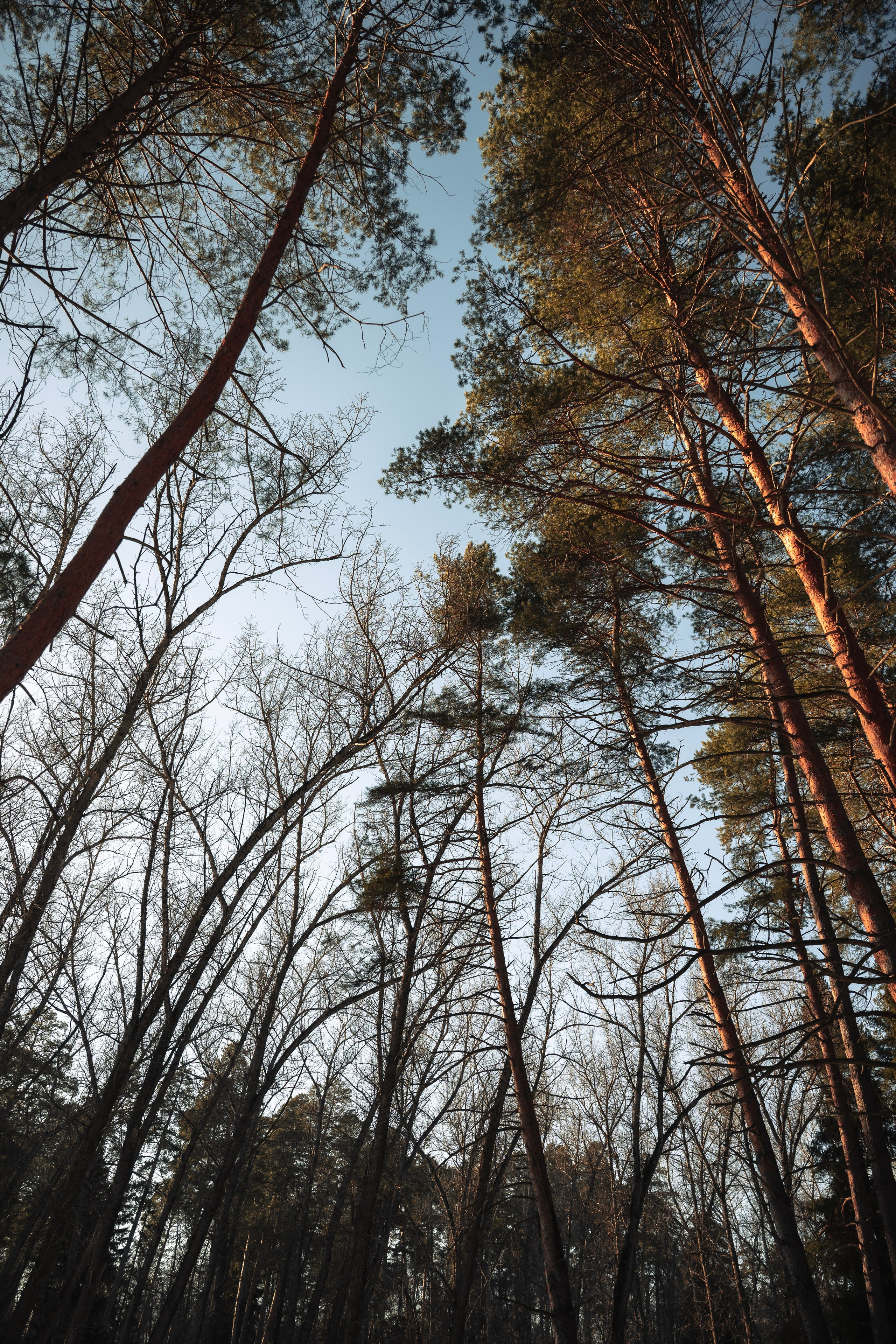 Street photo. Фотограф в Казани, и Зеленодольске Радик Мухаметов