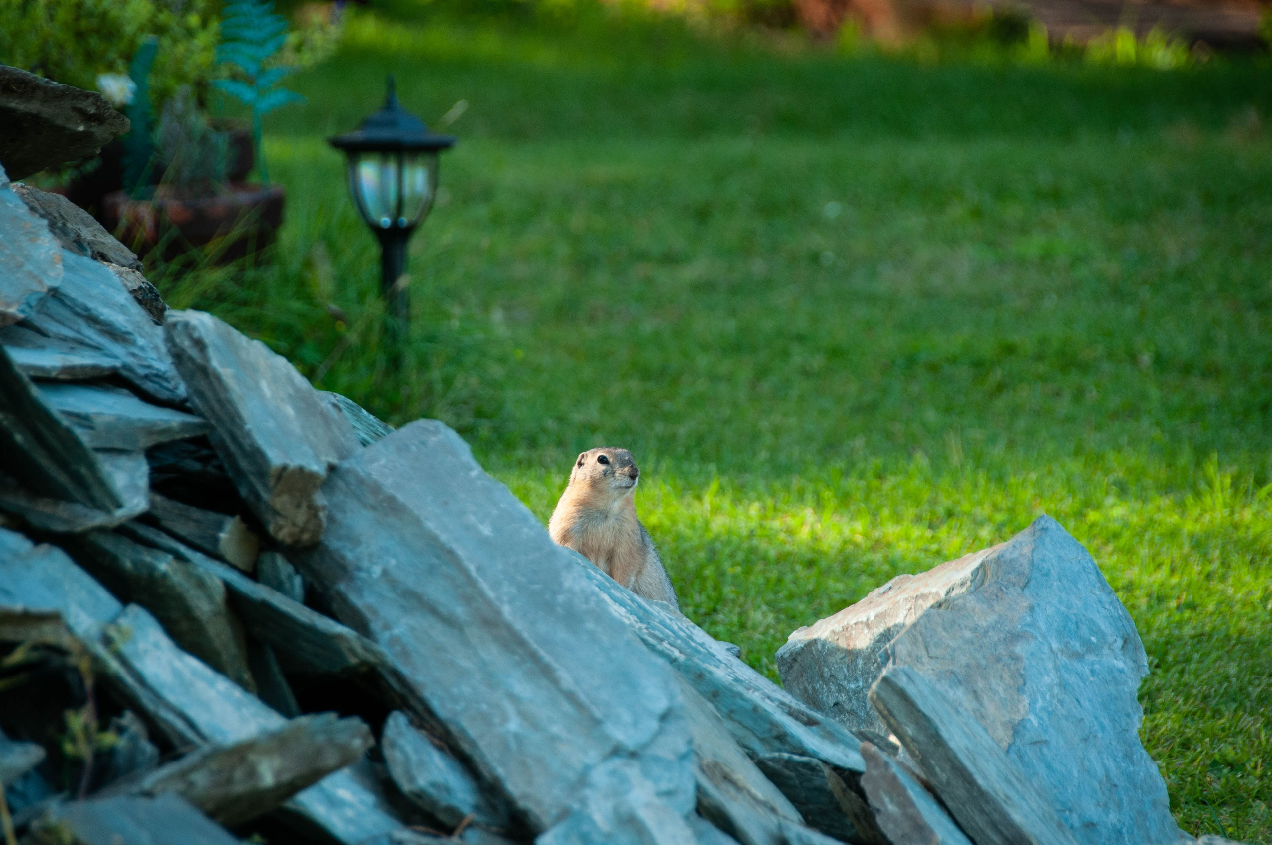 Интерьеры, ландшафты, предметы. Портретный фотограф в республике Алтай Юлия Шевченко