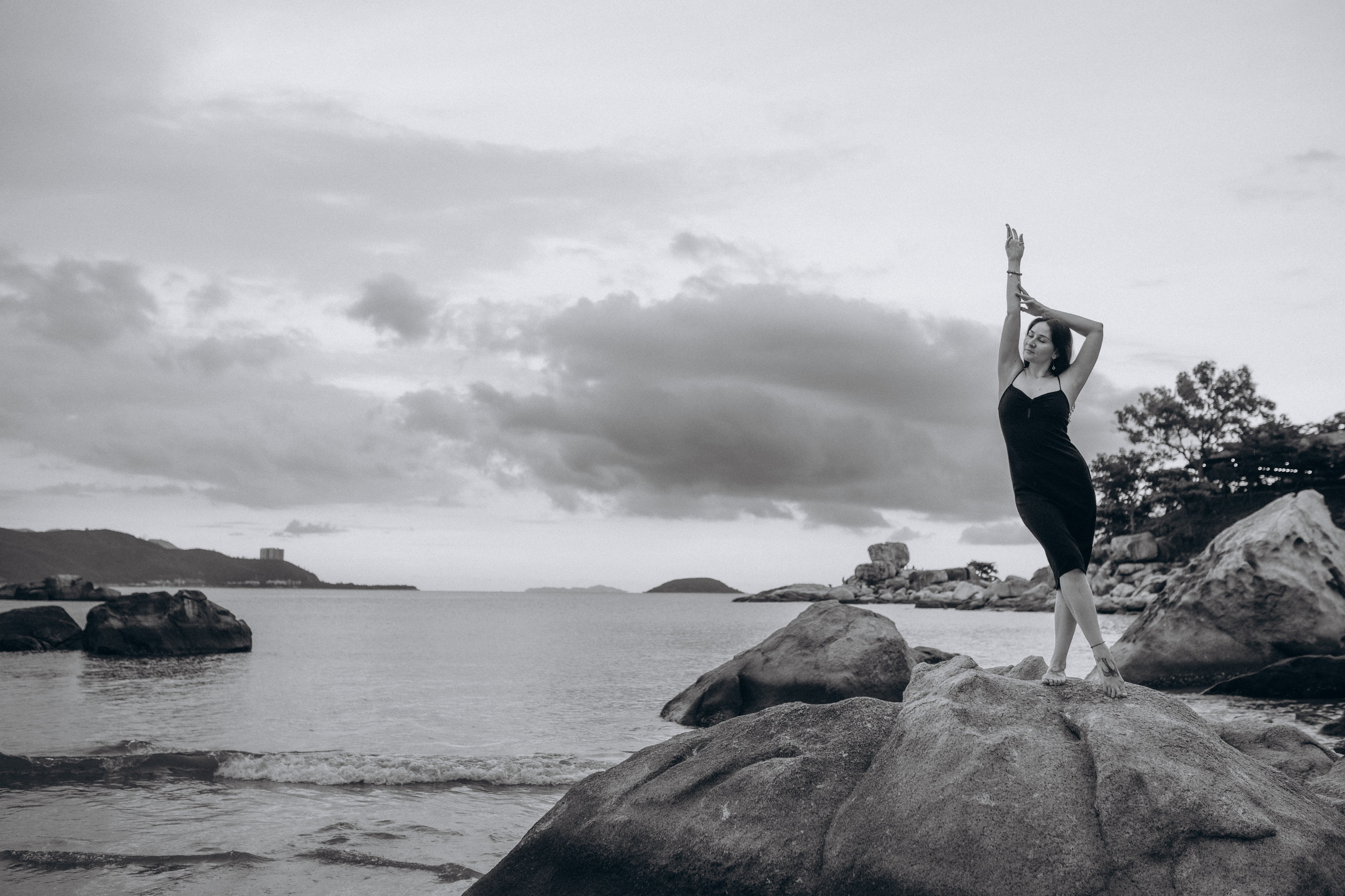 Лилия «сад камней» Вьетнам. Главная