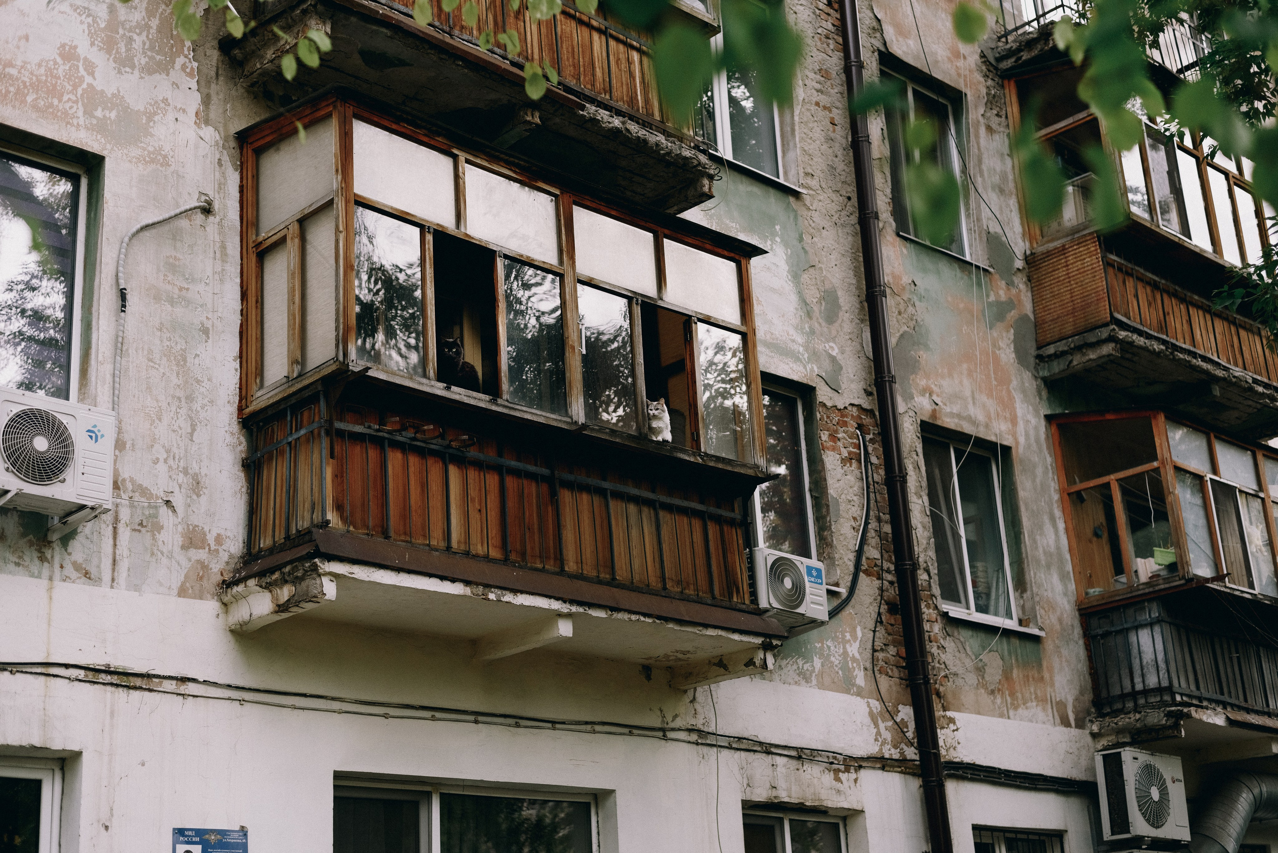 Юра. Фотограф Дарья Мустафина, Тюмень