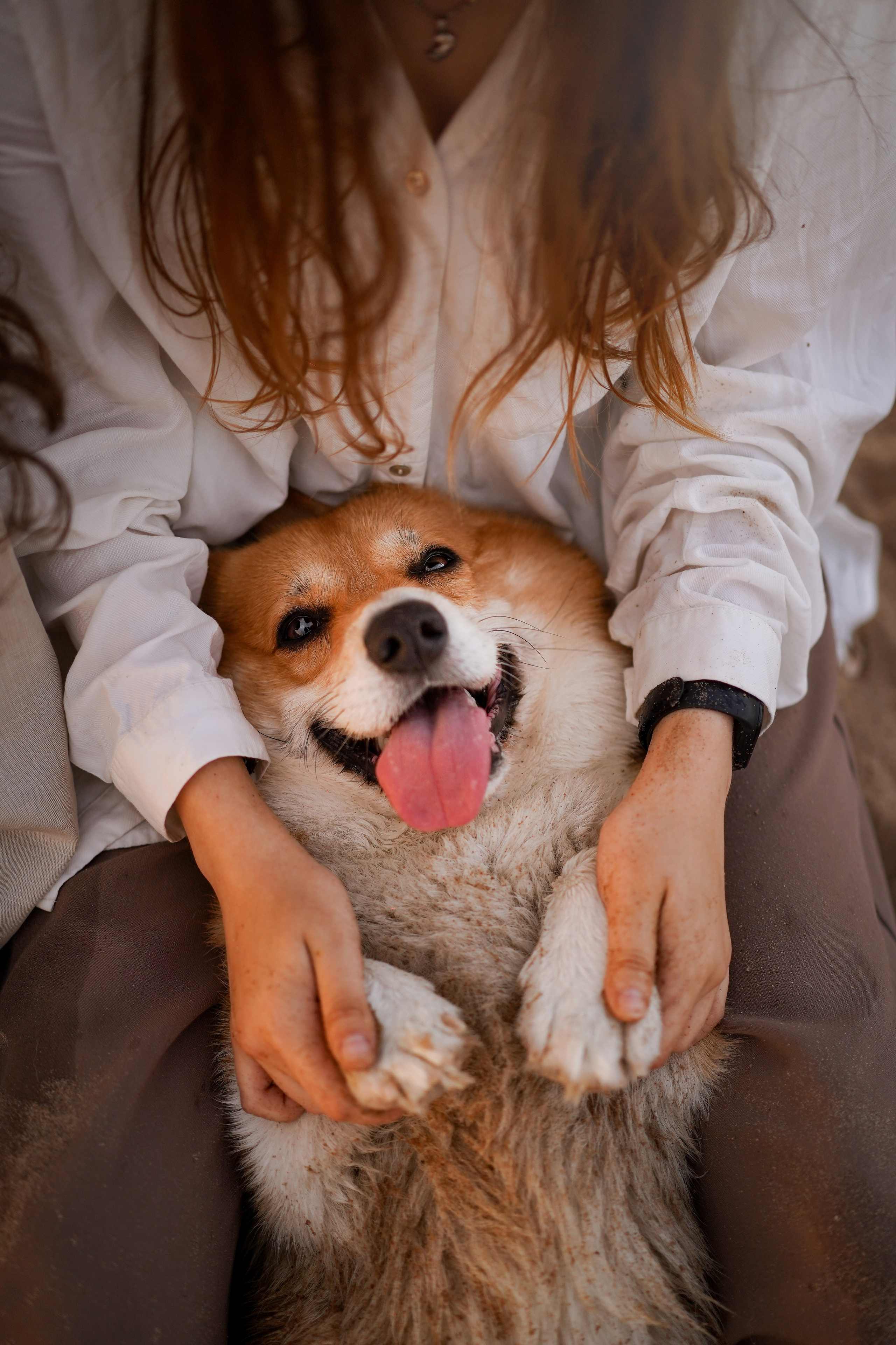 Катя Алиса и коржики. Фотограф-анималист в Санкт-Петербурге Яна Мартынова