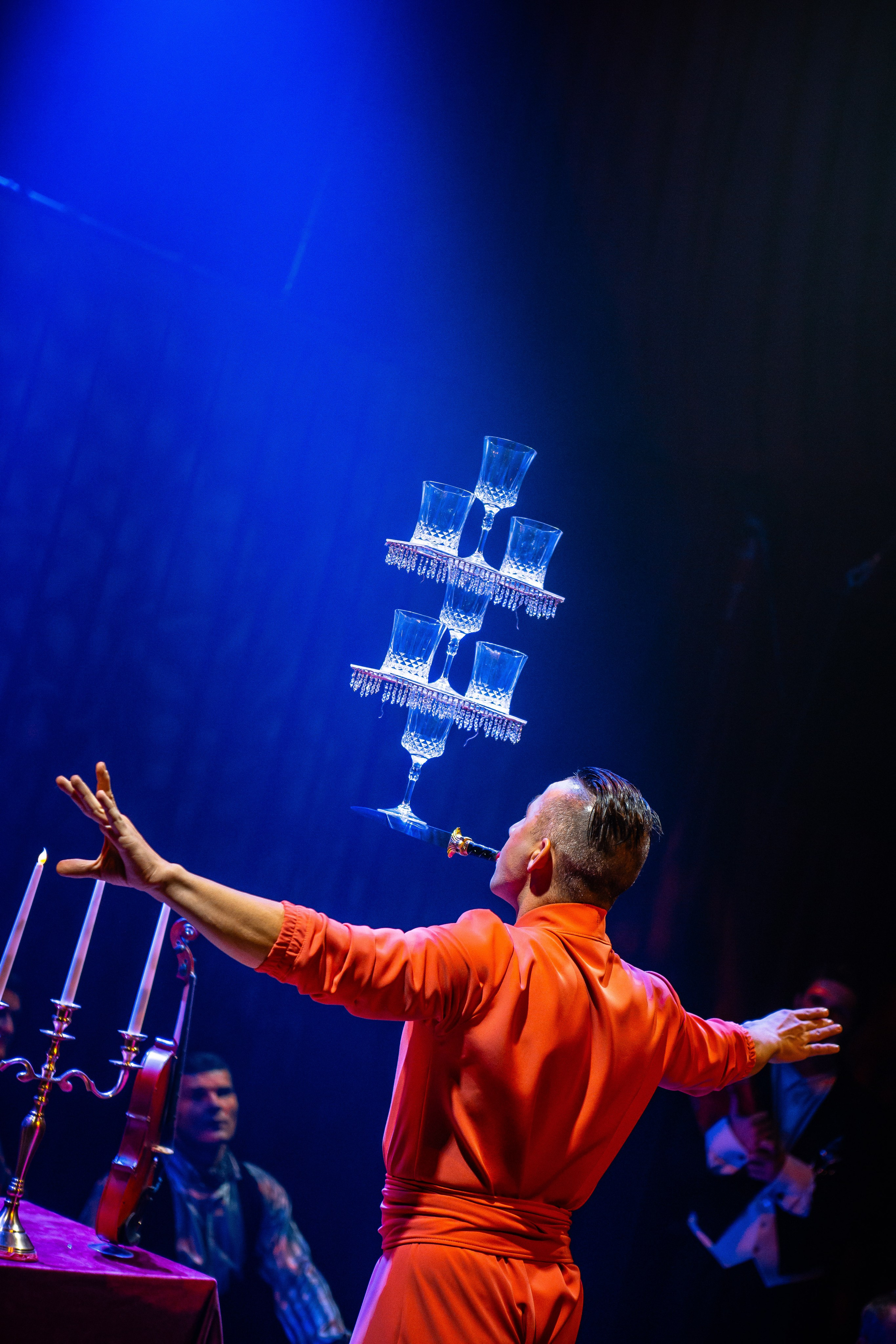 Цирковое шоу. Видеограф Добромыслов