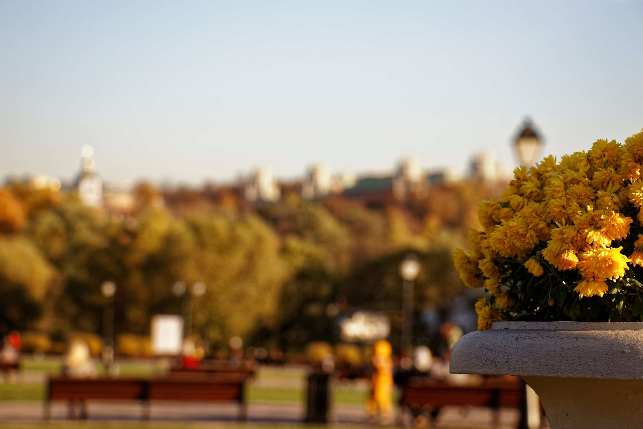 ЦАРИЦИНО. Фотограф Владимир Роля