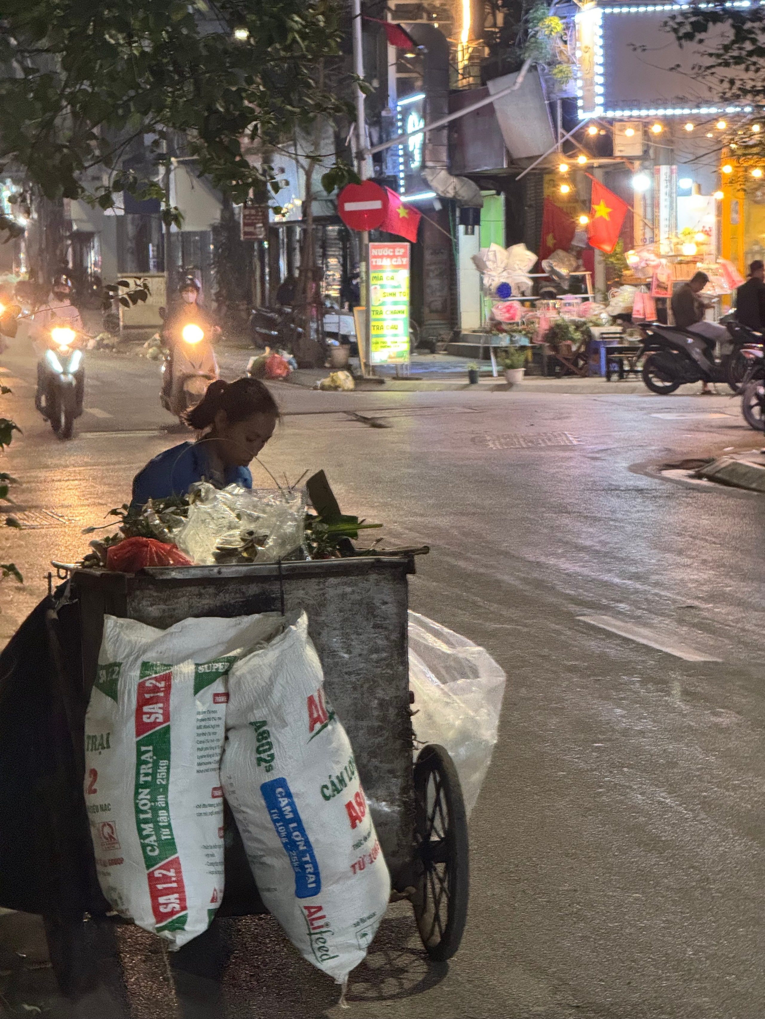 Вьетнам.Ханой 2025. А вот и да!