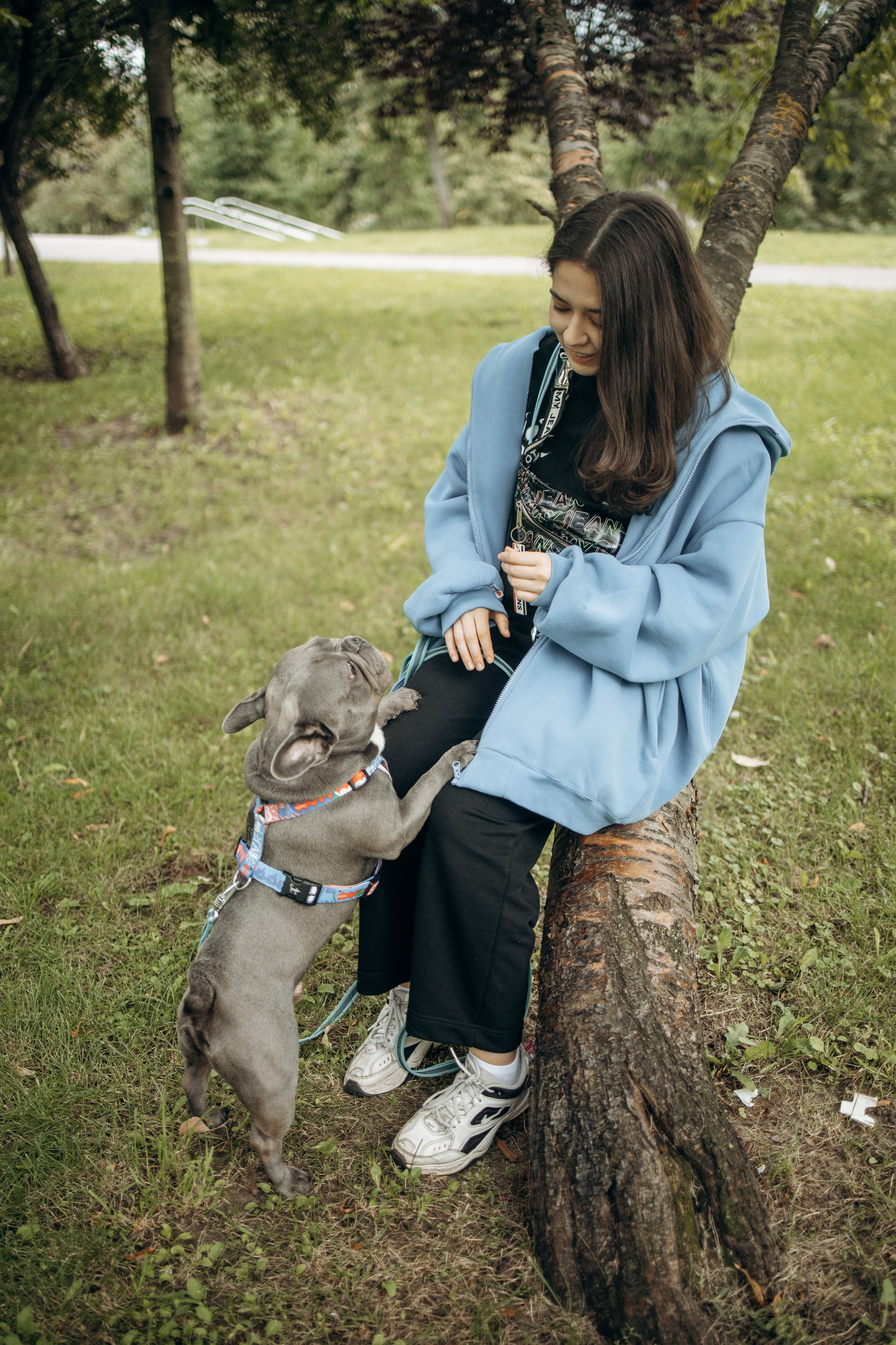 Грей и его семья