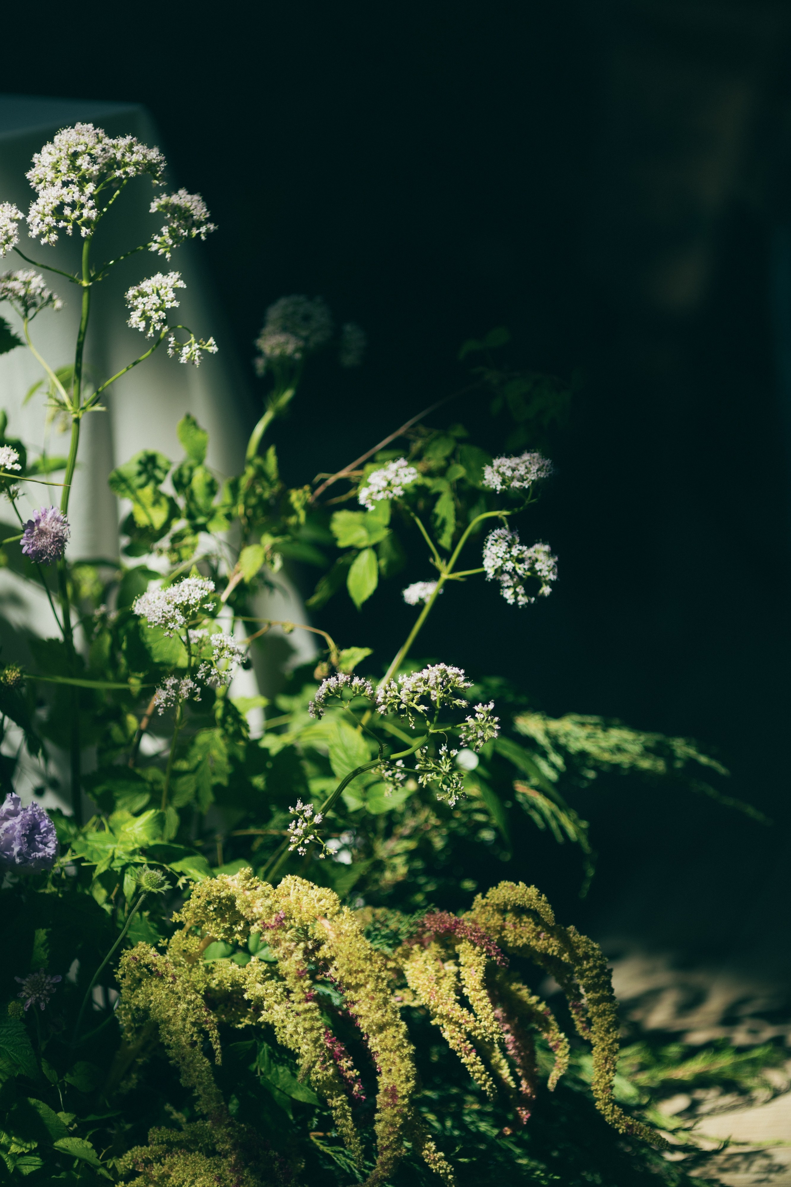 WEDDING. Свадебный фотограф Капаева Виктория