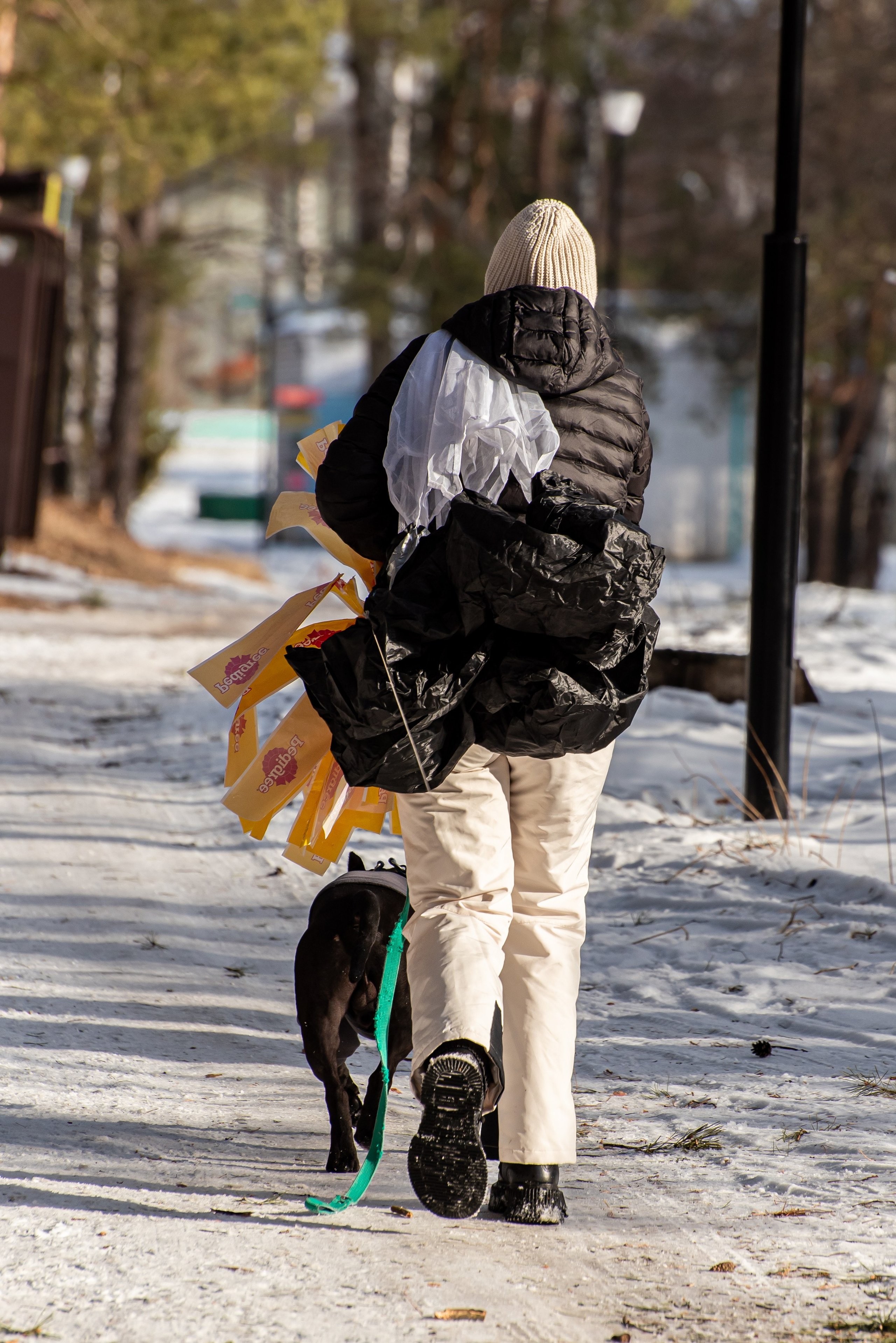 Фотосъёмка с собаками в Кинологическом лагере. Фотограф Макс Огурцов в Нижнем Новгороде