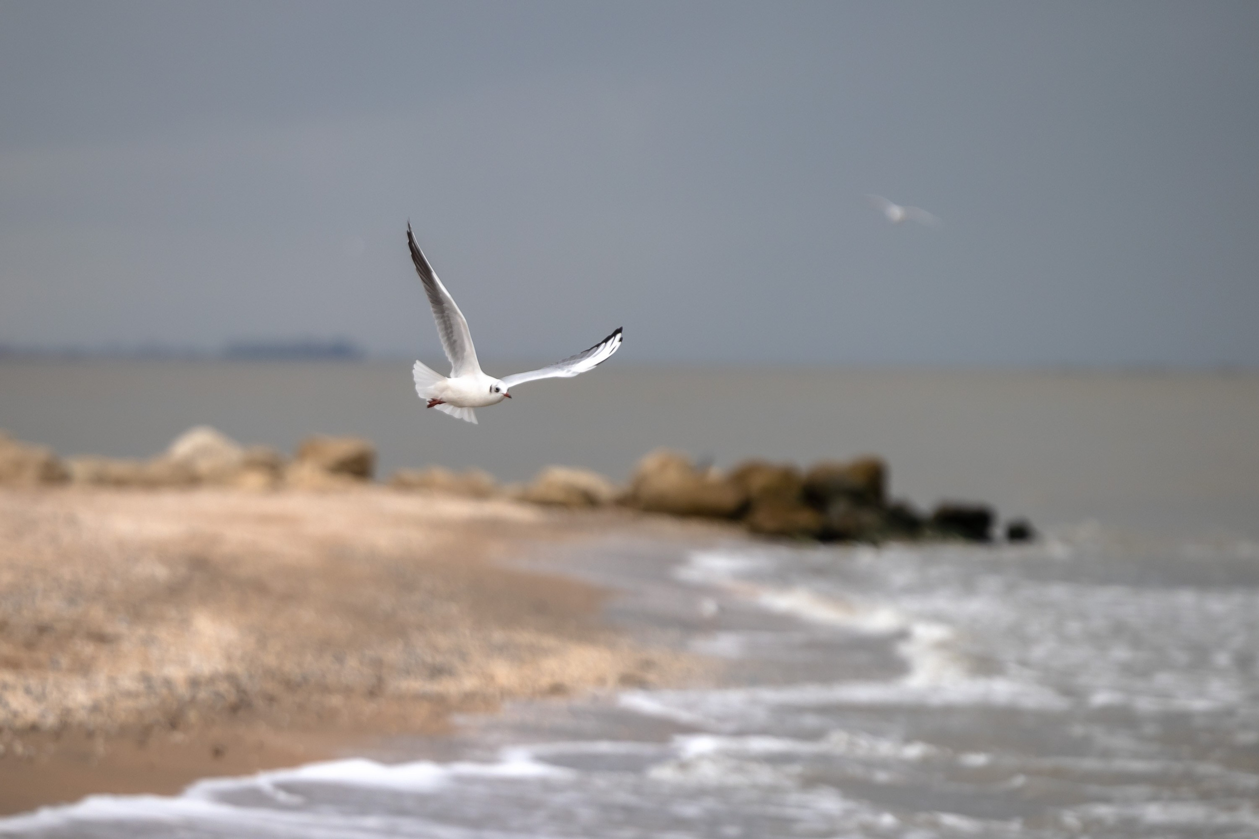 Азовское море. Фотограф Владимир Охрименко