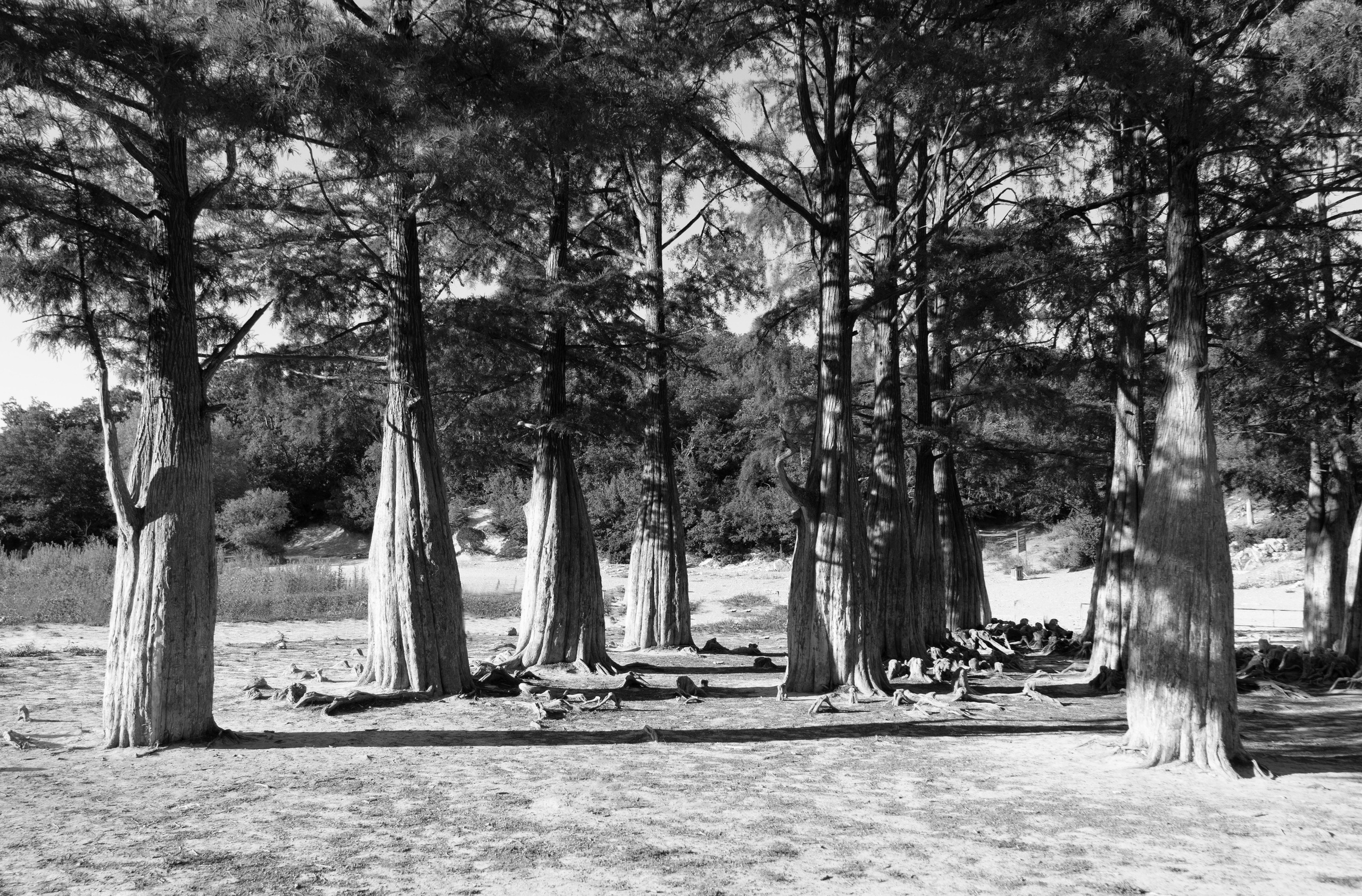 Фотографии природы России для Русского географического общества