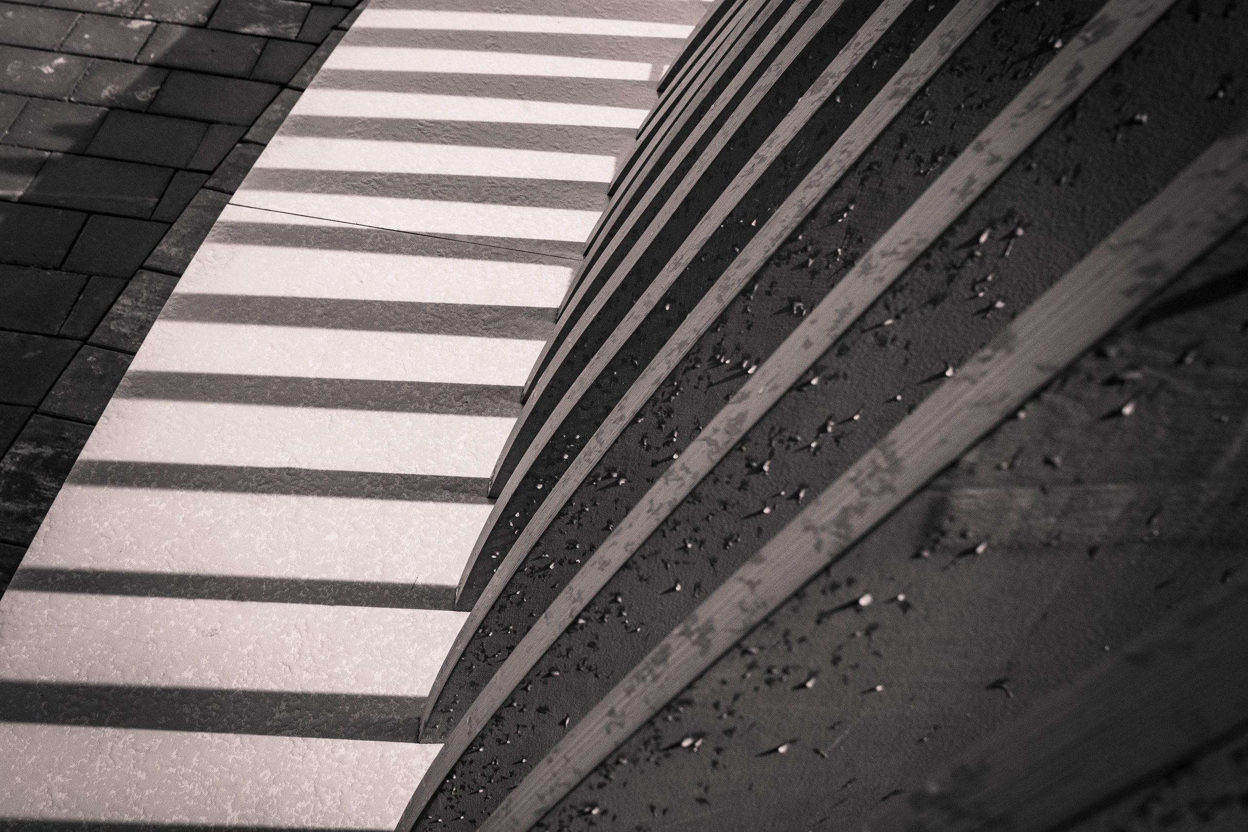 Ритмы карантина. Мари Линёк-Стельмах Фотохудожник Санкт-Петербург/Урал