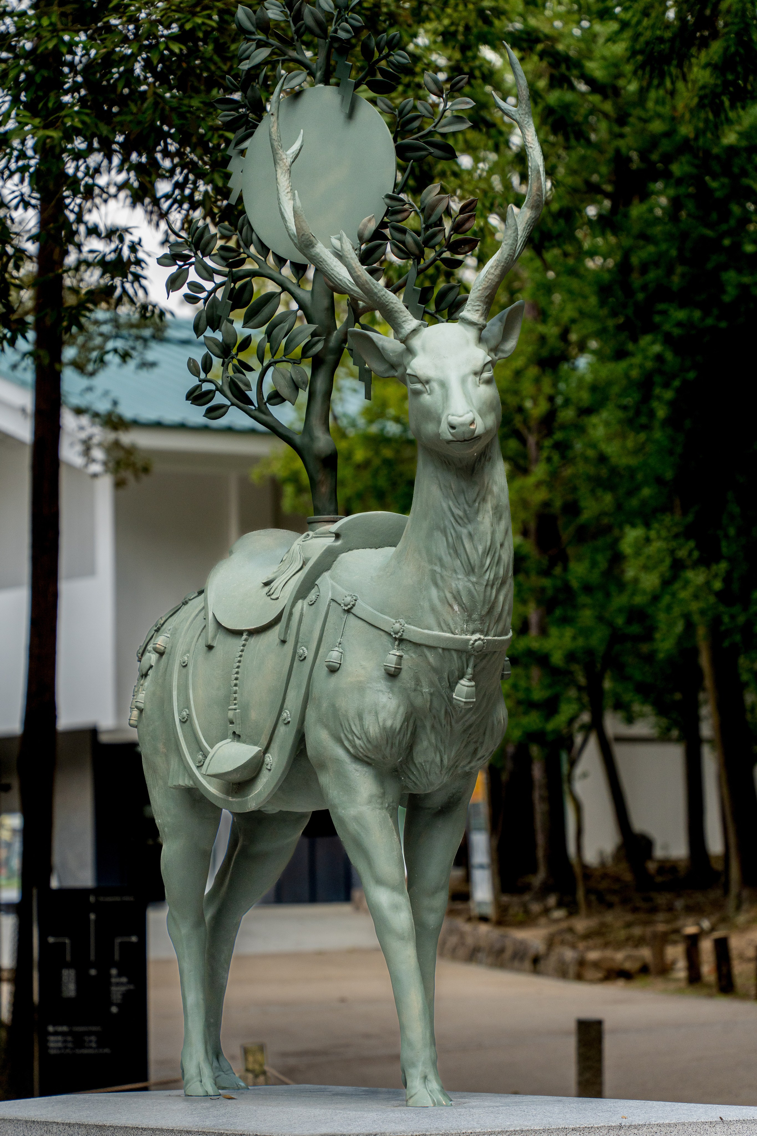 Япония, сакура. Творческие сьемки