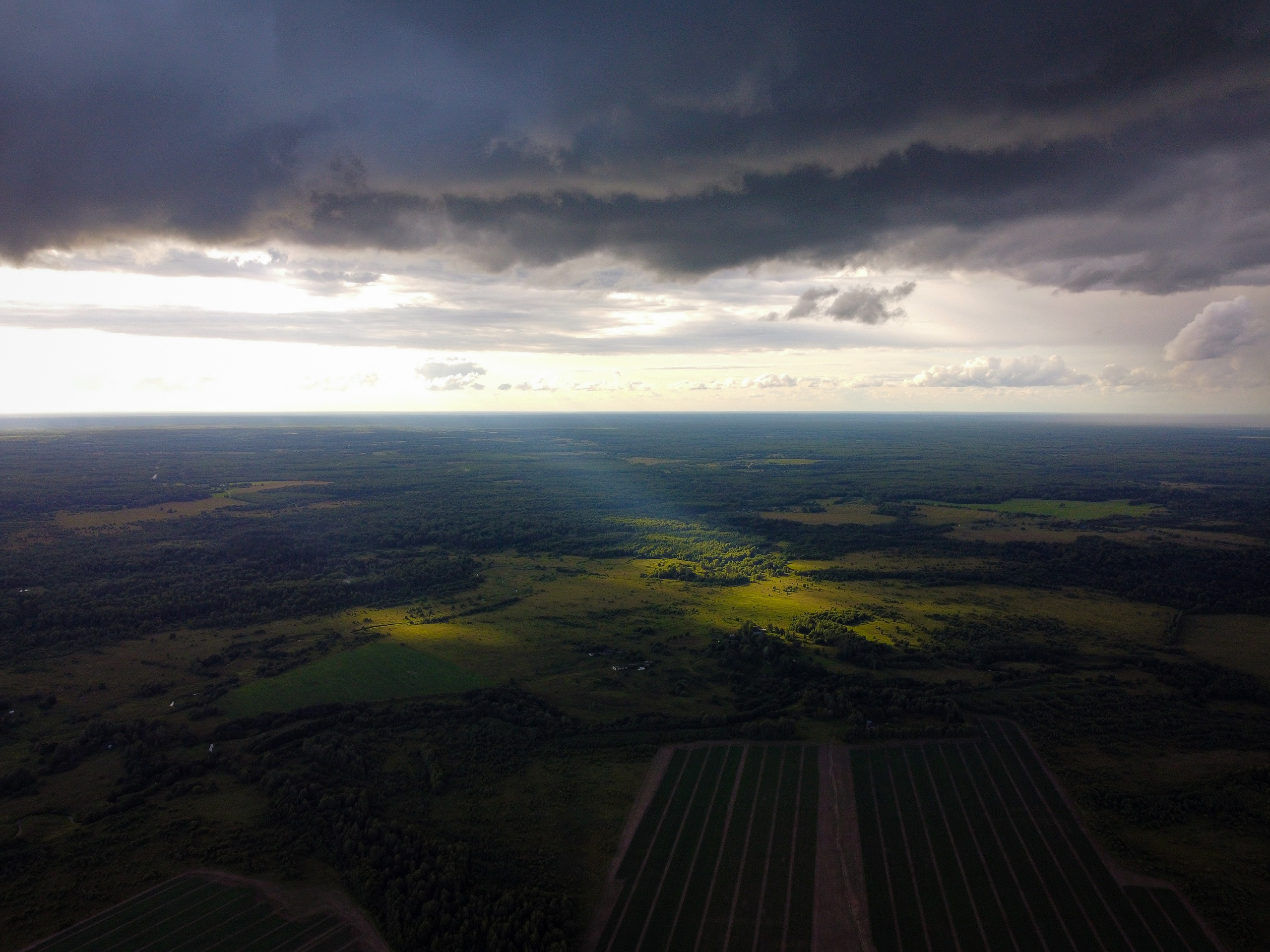 лучик света падает на поле с картофелем