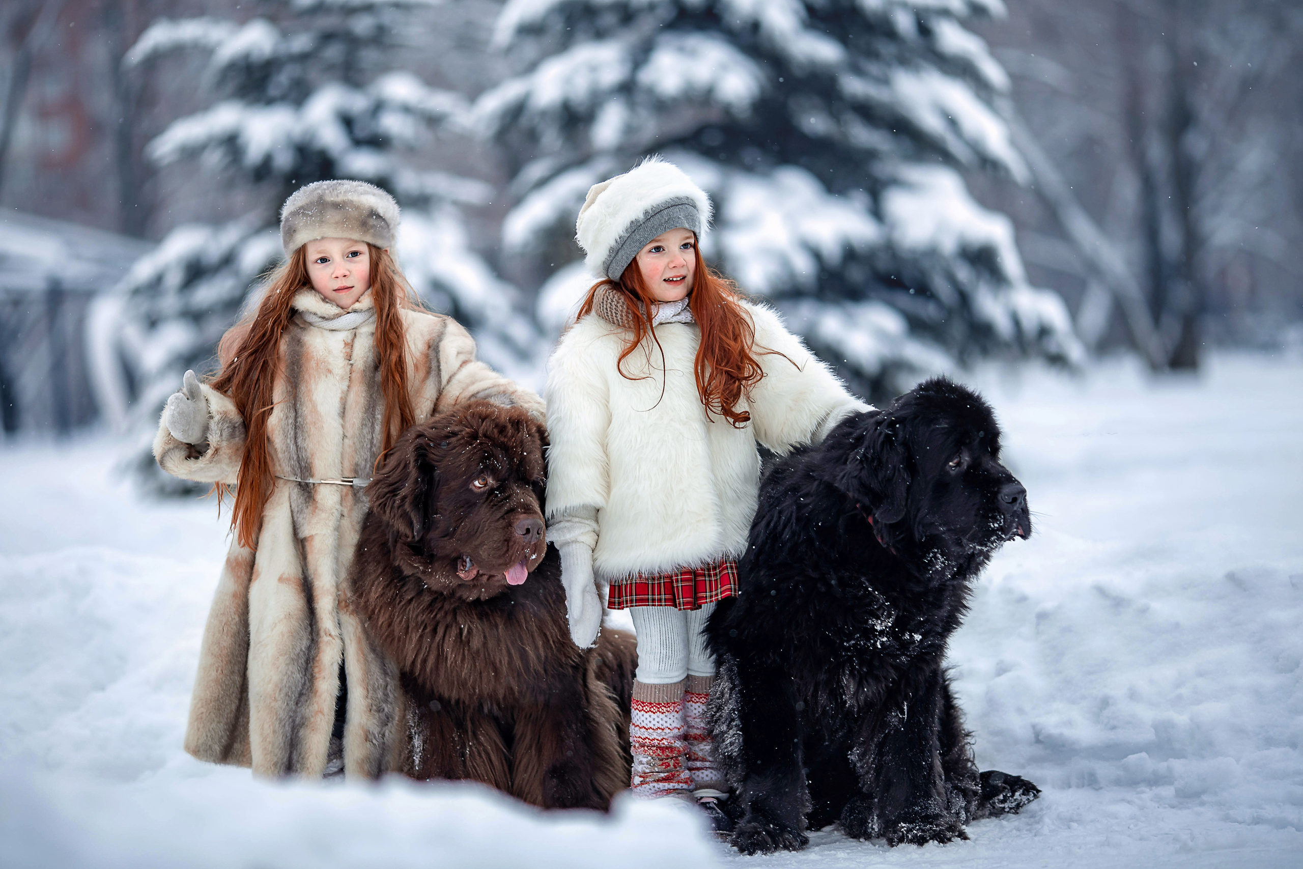 Дети. Семейный фотограф в Санкт-Петербурге Ульяна Меньшикова
